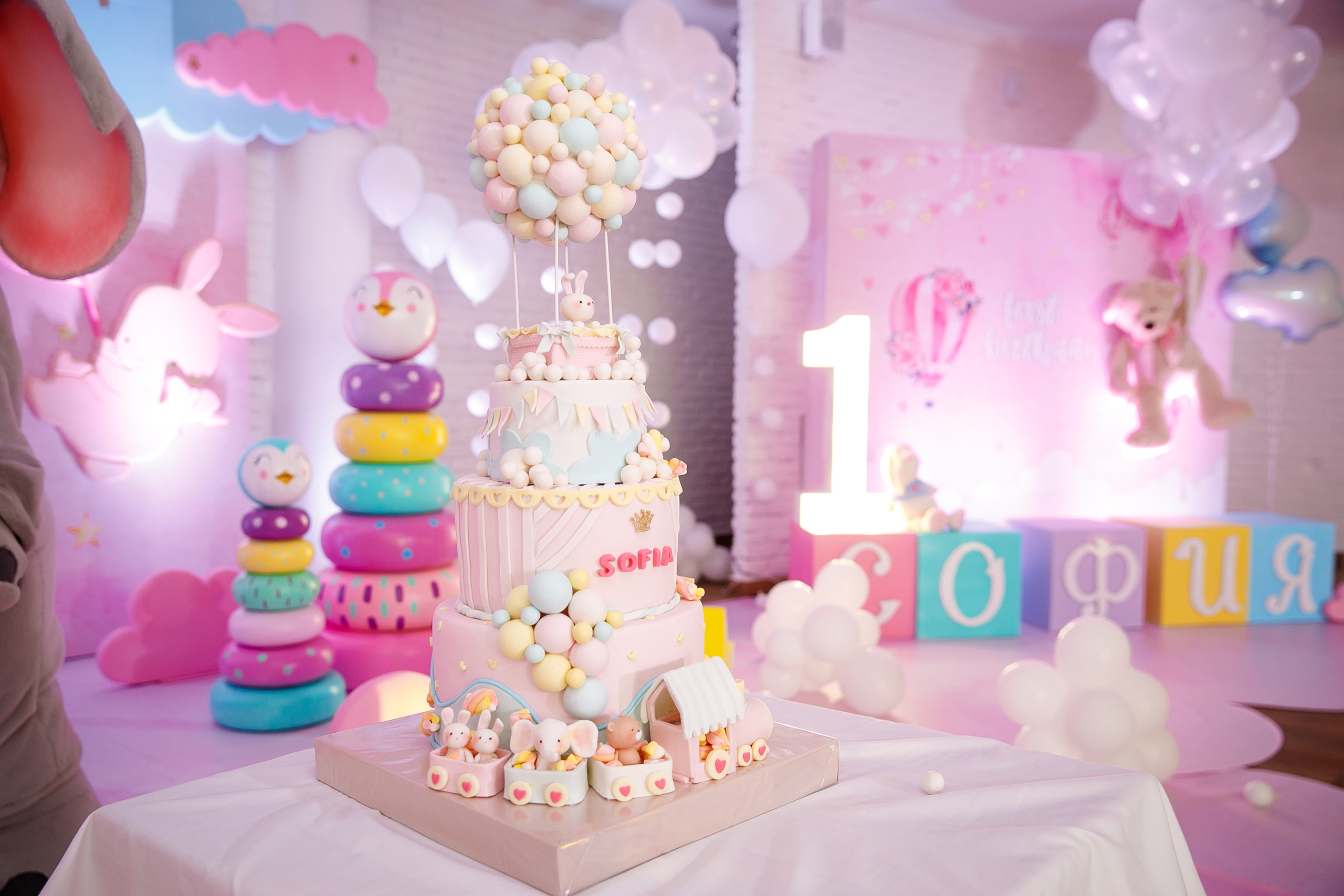 ДР Софии. 1 год. Ресторан Мост. Фотограф Андрей Баксов