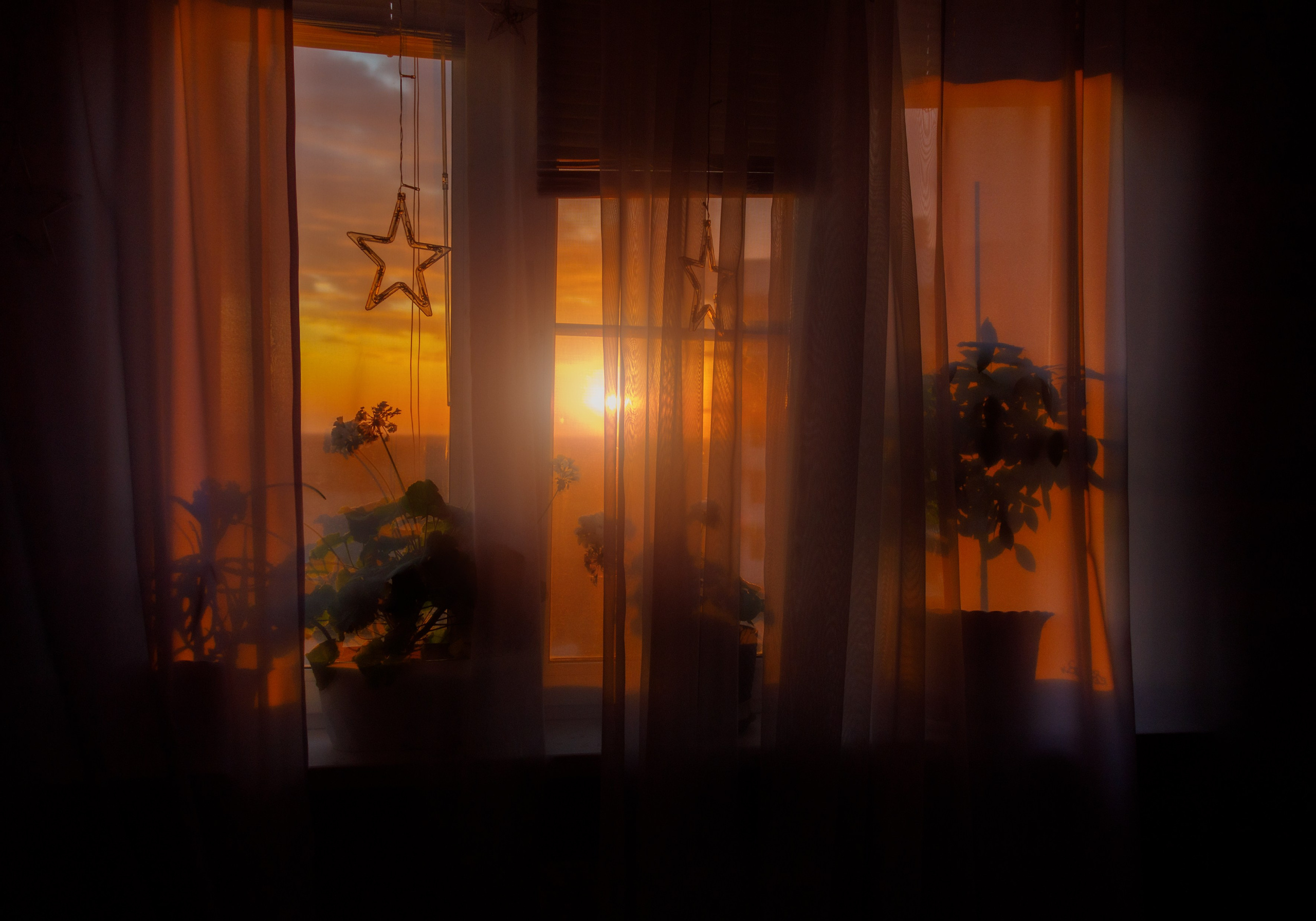 Проект «366»|2024|Фото каждый день. LENA GRACE photographer ||ЛЕНА ГРЭЙС фотограф