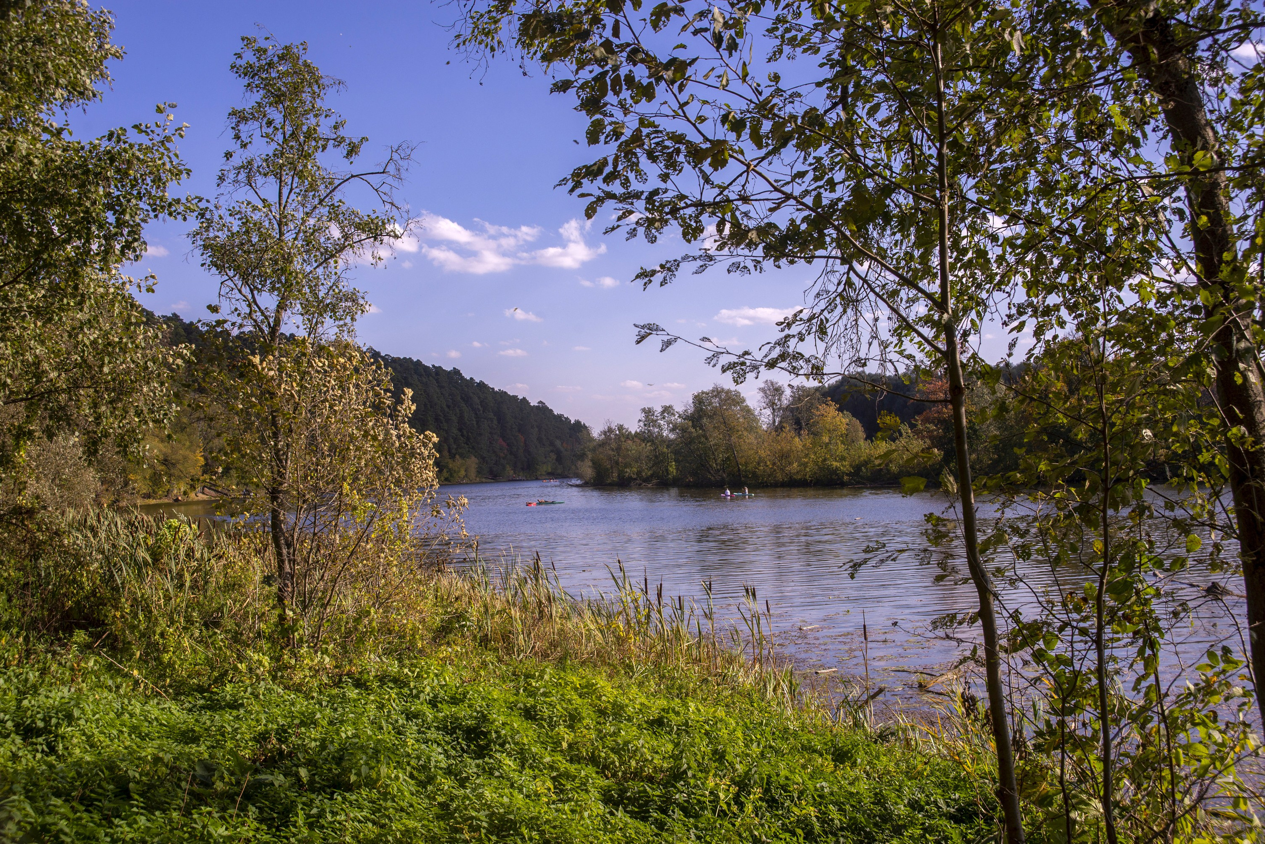 Архангельское. Сентябрь 2023. Игорь Жучков. Россия увиденная глазами путешествующего фотографа