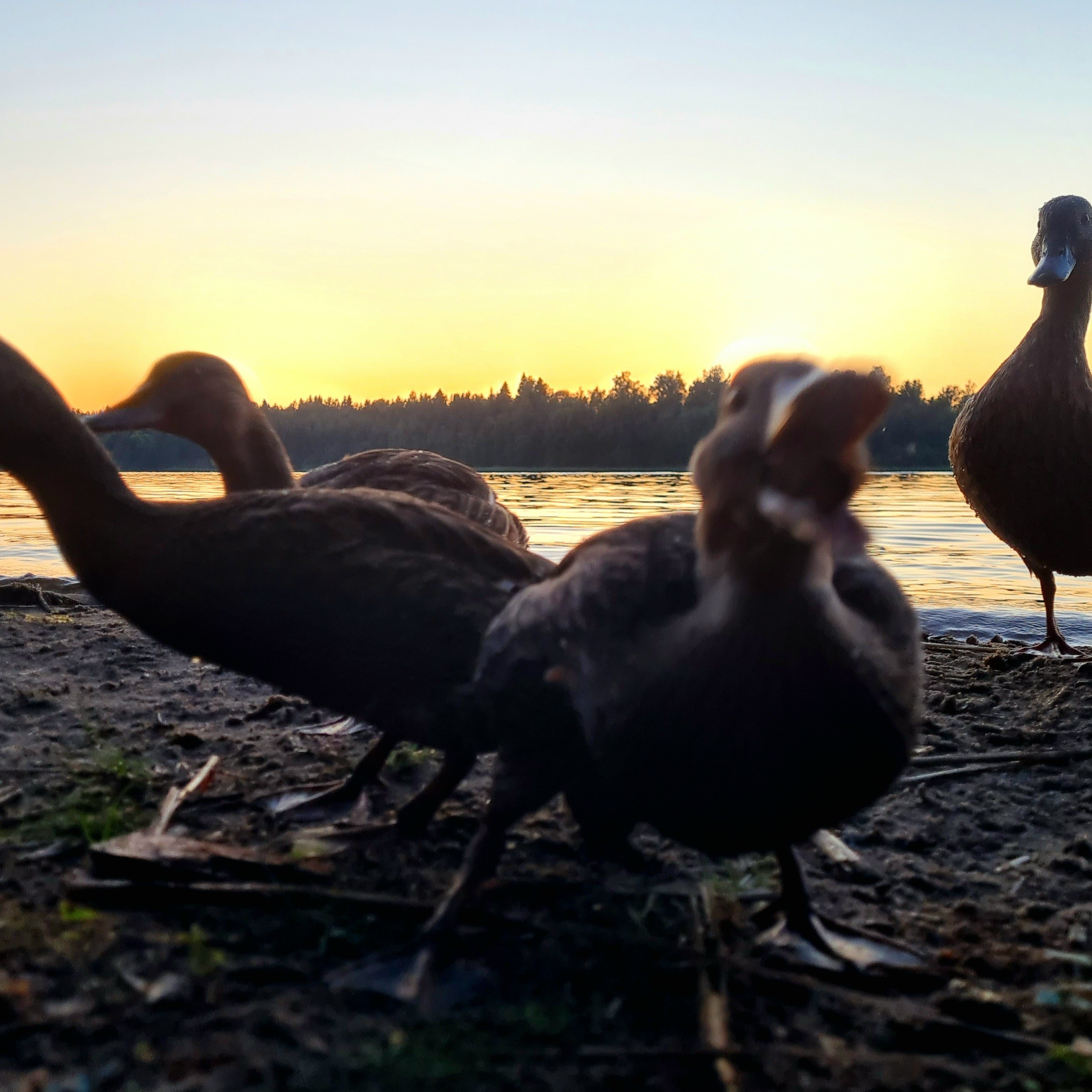 И вокруг меня. Портретный и концертный фотограф в Санкт-Петербурге Егор Телятников