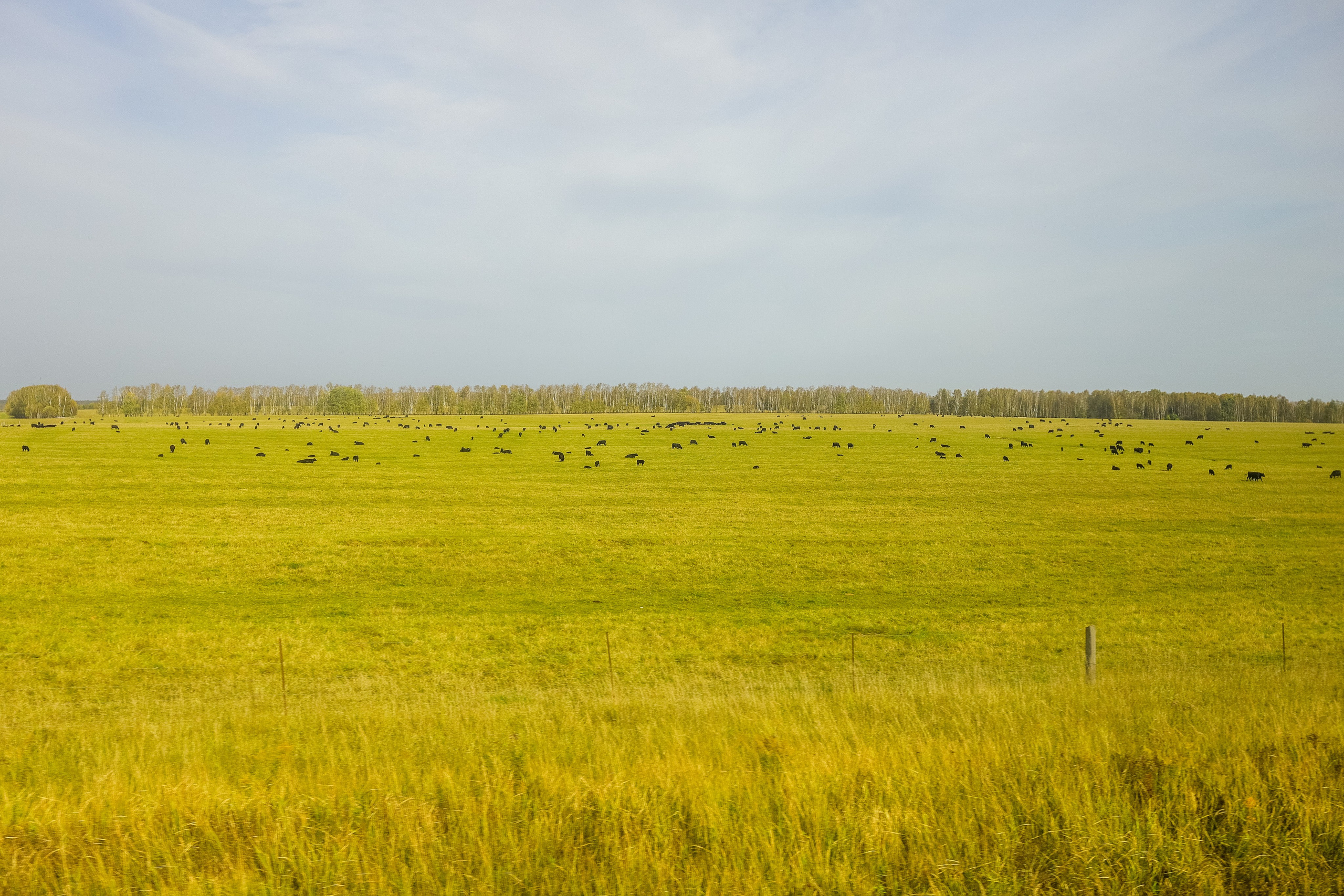 Поездка в Белев и на производство пастилы. Фотограф в Туле Крупский АнДРей. Фотостудия «КАДР71» в Туле