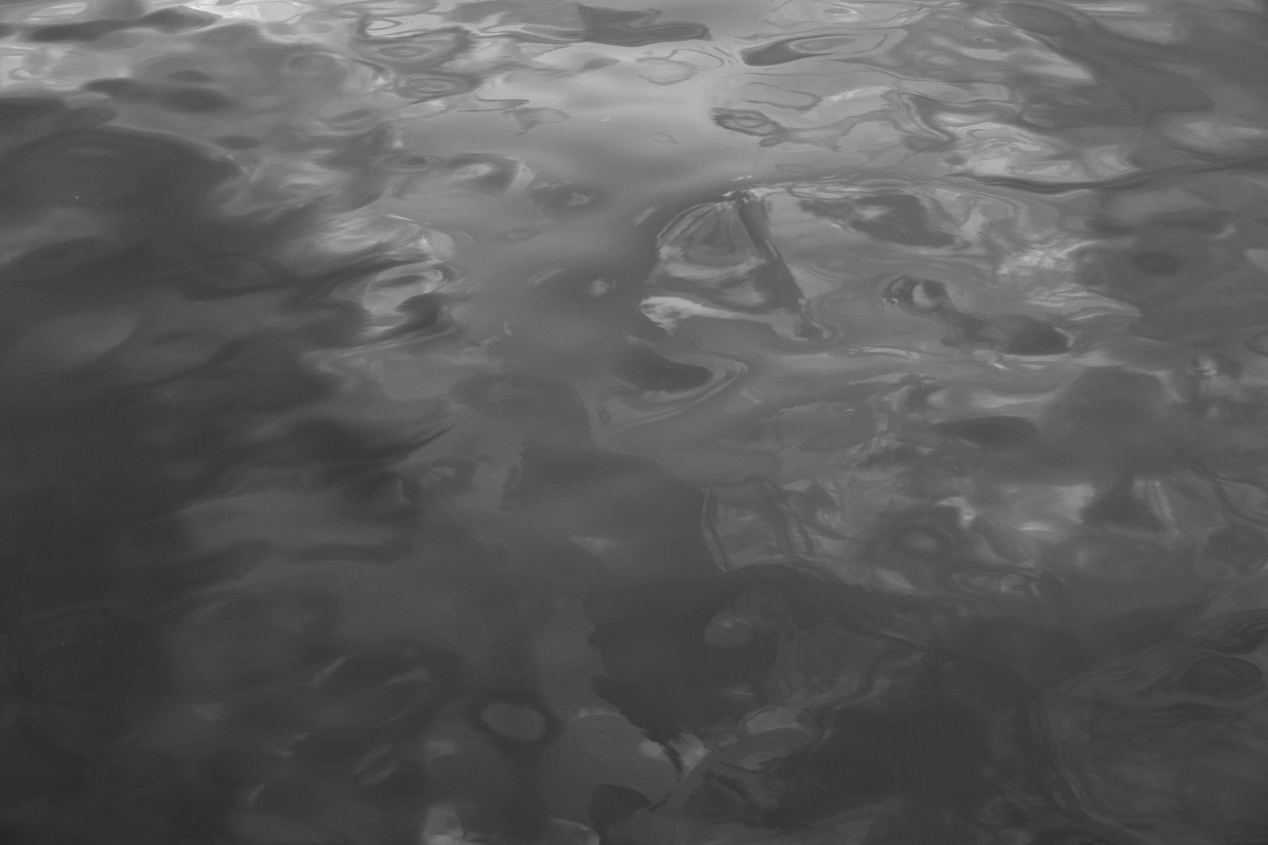 Art prints. Фотограф алина стерхова, алина стерхова фотограф, фотограф москва