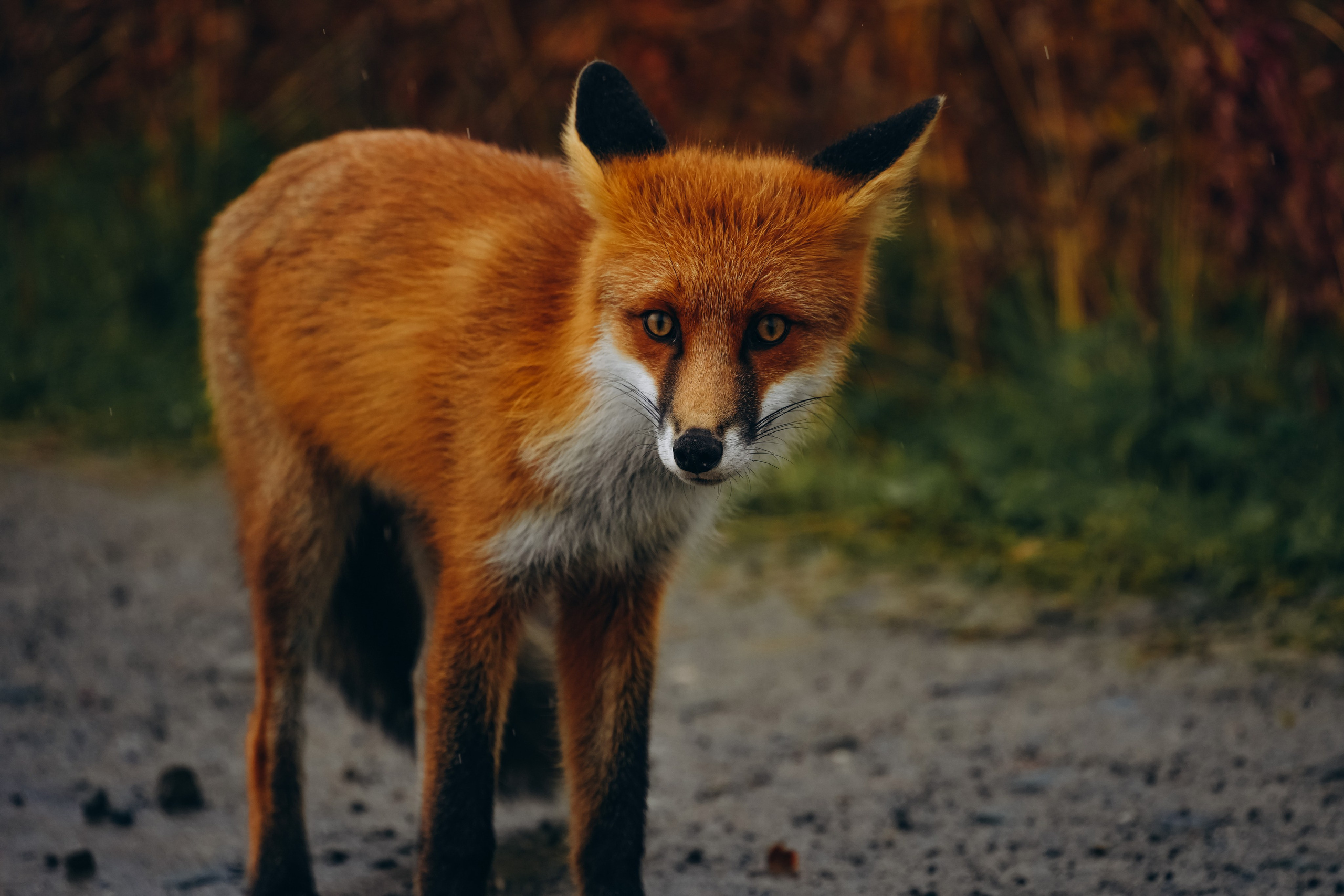 СЕВЕР. Event фотограф Степанова Александра