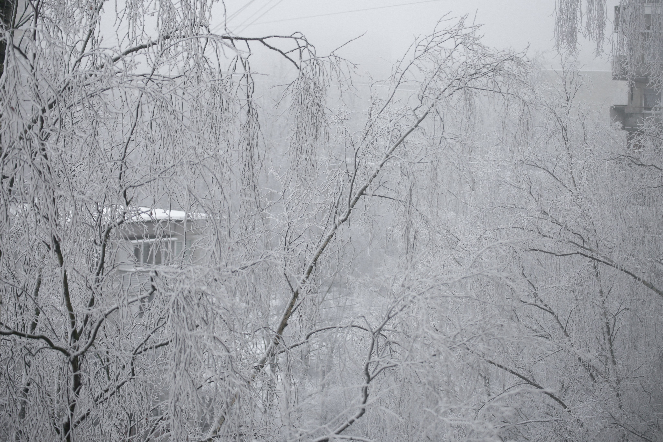 Зима. Костюмер, художник кино и телевидения в спб