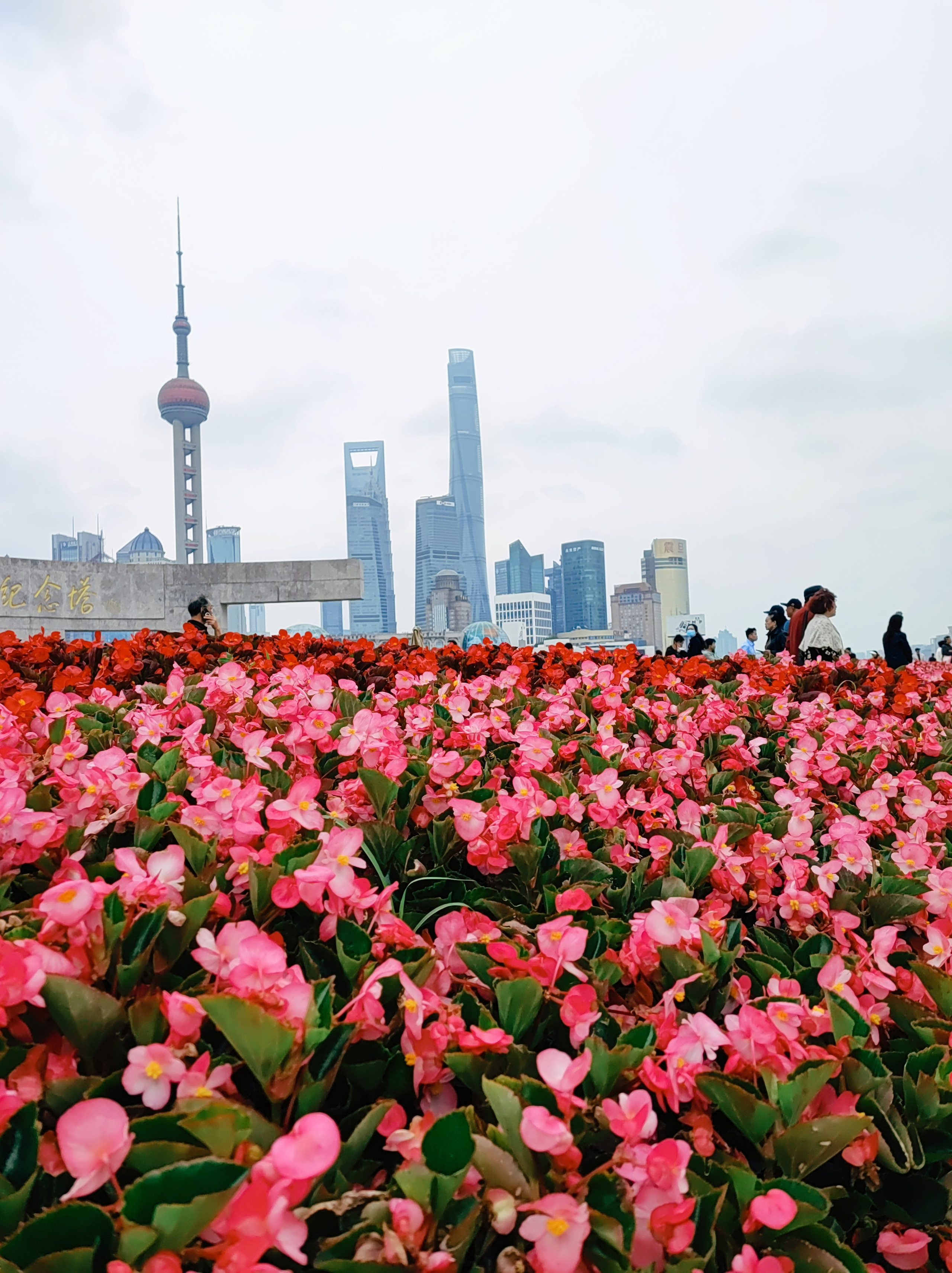Намобилкус китайский. Репортажный фотограф Алексей Пирязев