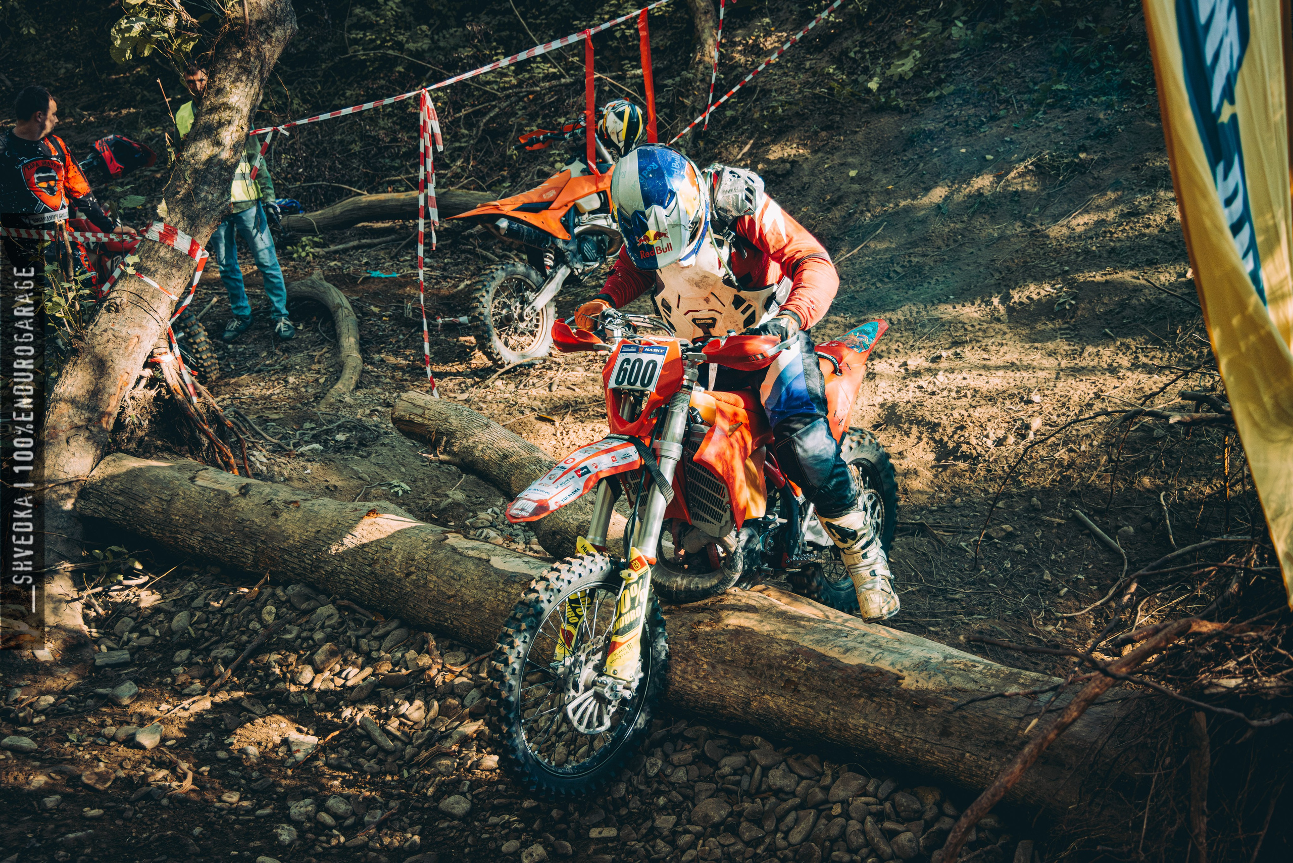 2 лесной день. Ваш экстрим фотограф Кудрева Яна