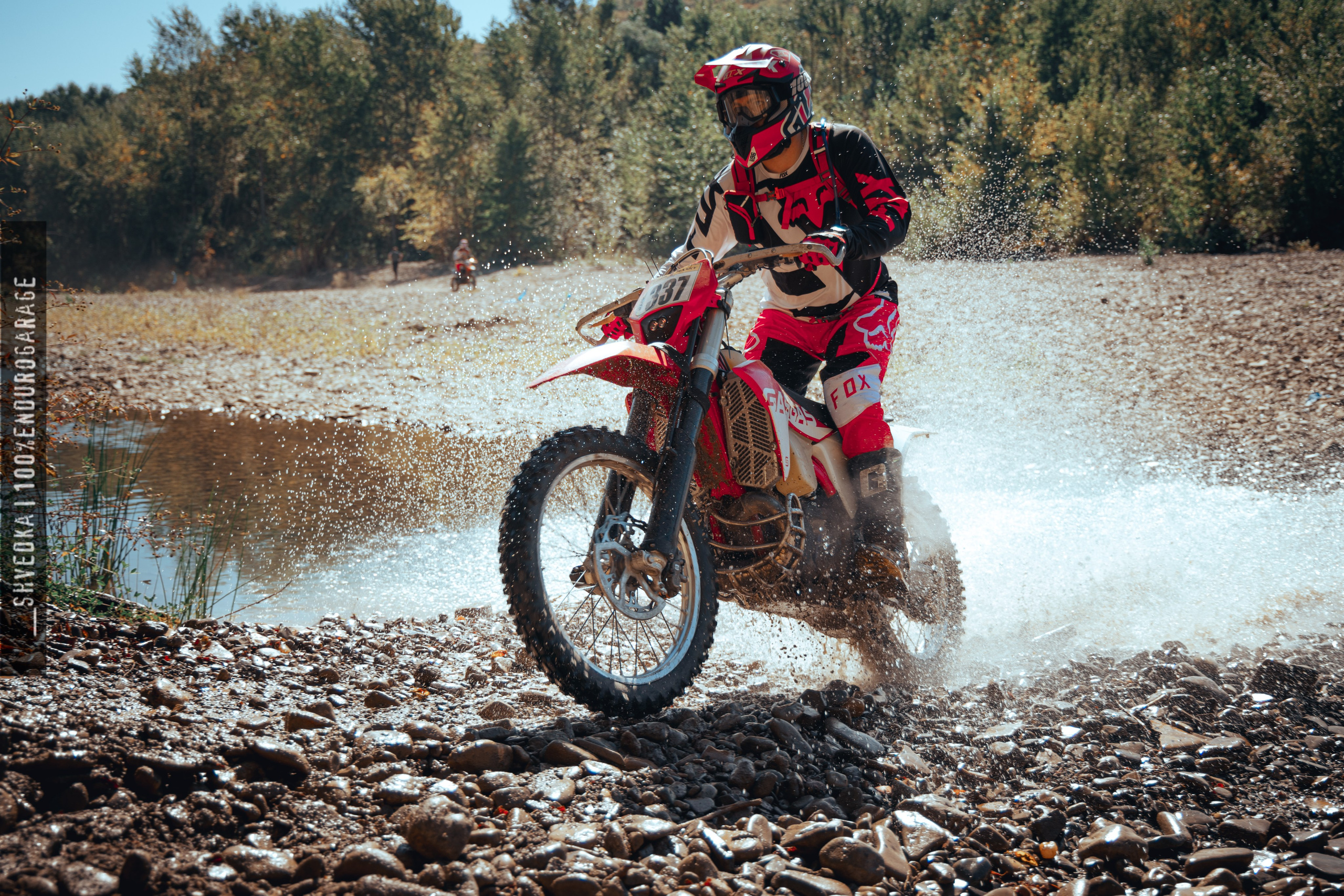 1 лесной день. Ваш экстрим фотограф Кудрева Яна