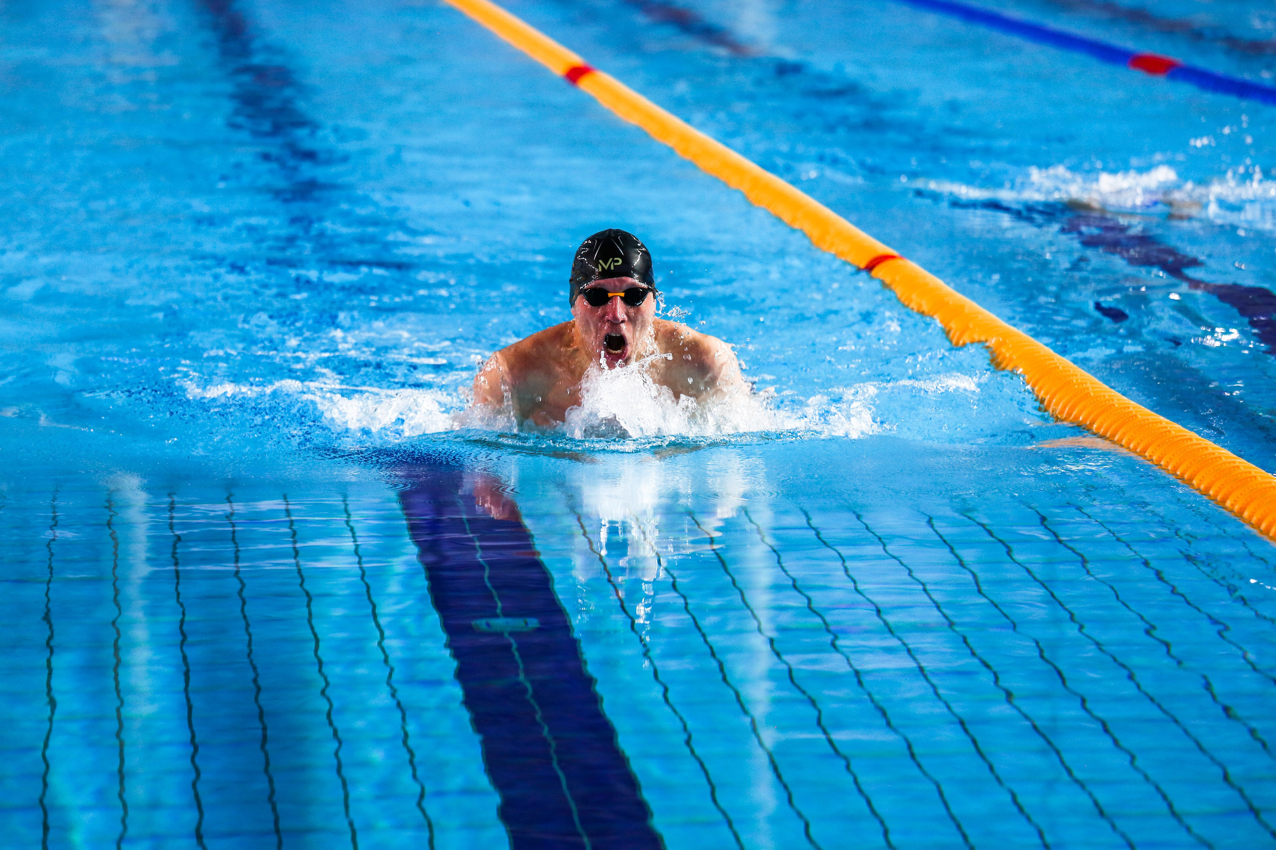 Соревнования по плаванию. Репортажный, семейный, свадебный, портретный фотограф