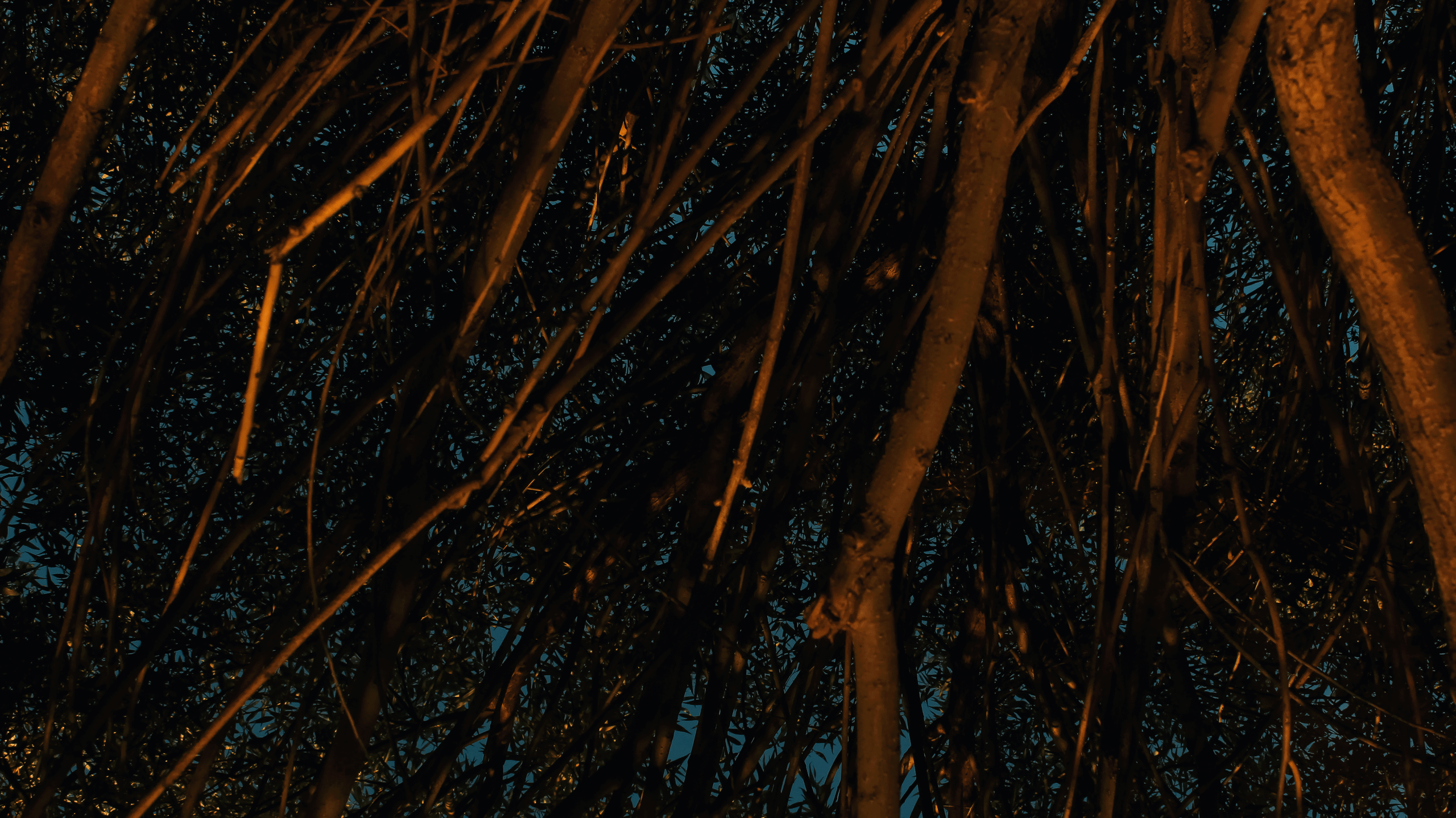 TMN summer '24. Фотограф/дизайнер в Екатеринбурге Хитрый Дмитрий