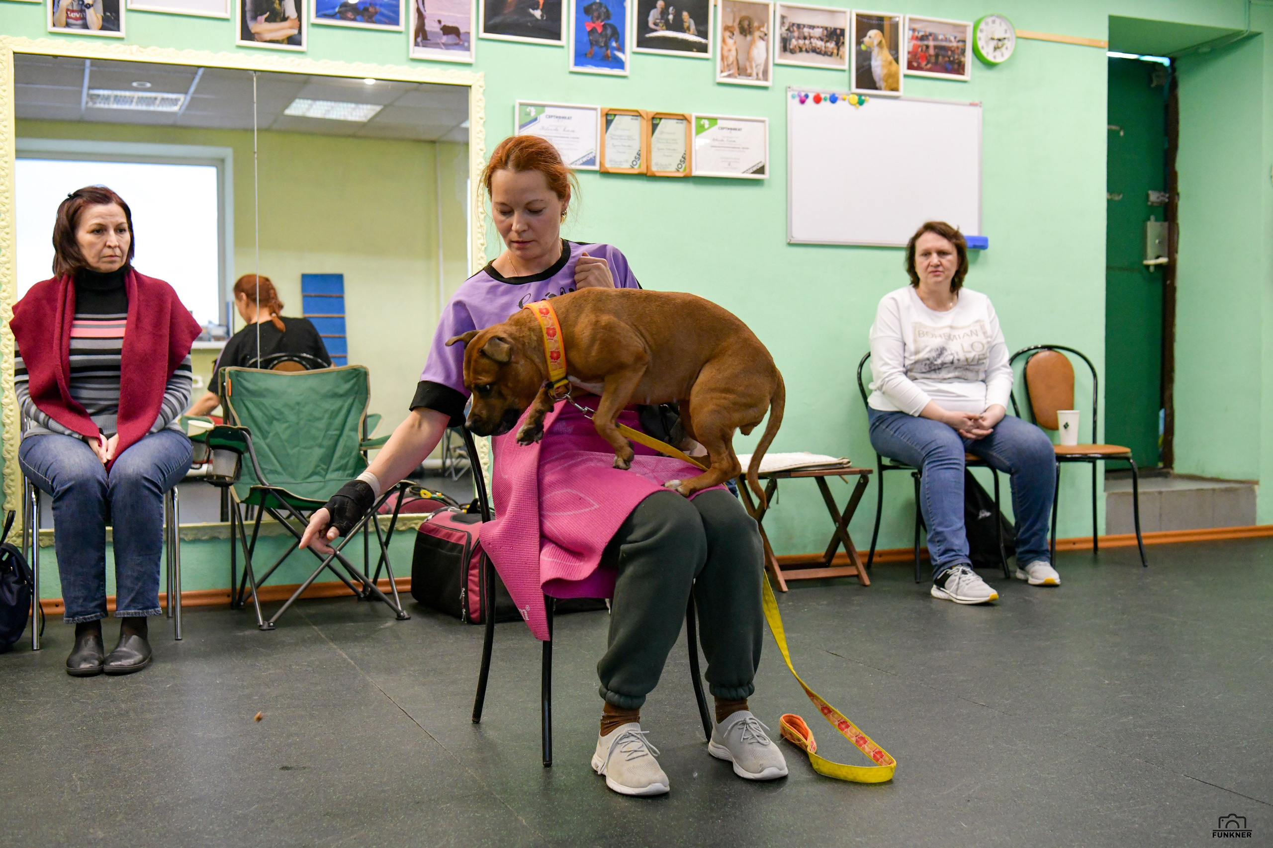 Кинологический клуб «Бодрый хвост». Свой взгляд через объектив