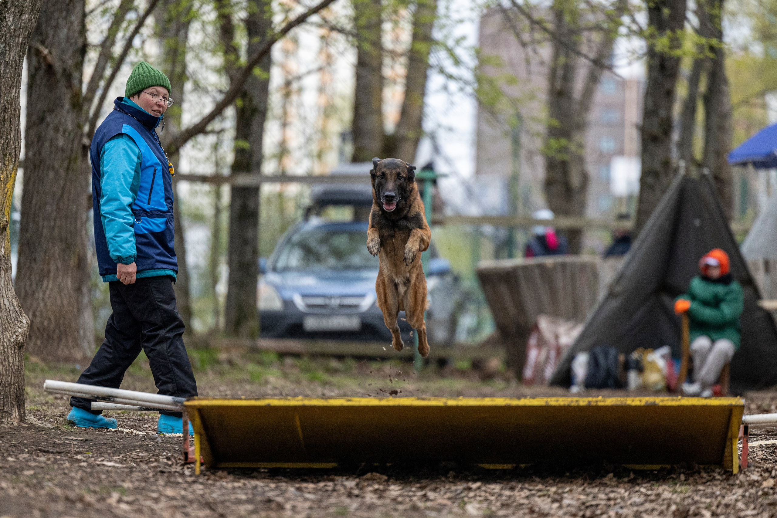 Квалификационные состязания по мондьорингу г. Вологда 11.05.24. Фотограф-анималист Анна Маринич