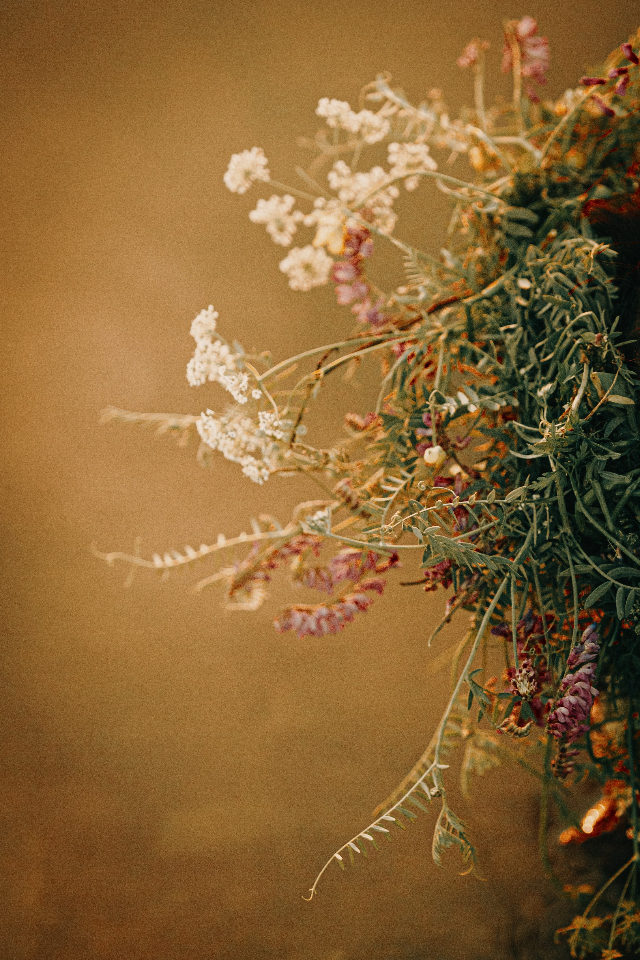 Ивана Купала на закате. Арт-фотограф Крис Л. в Тобольске: портрет, семейные, свадьбы