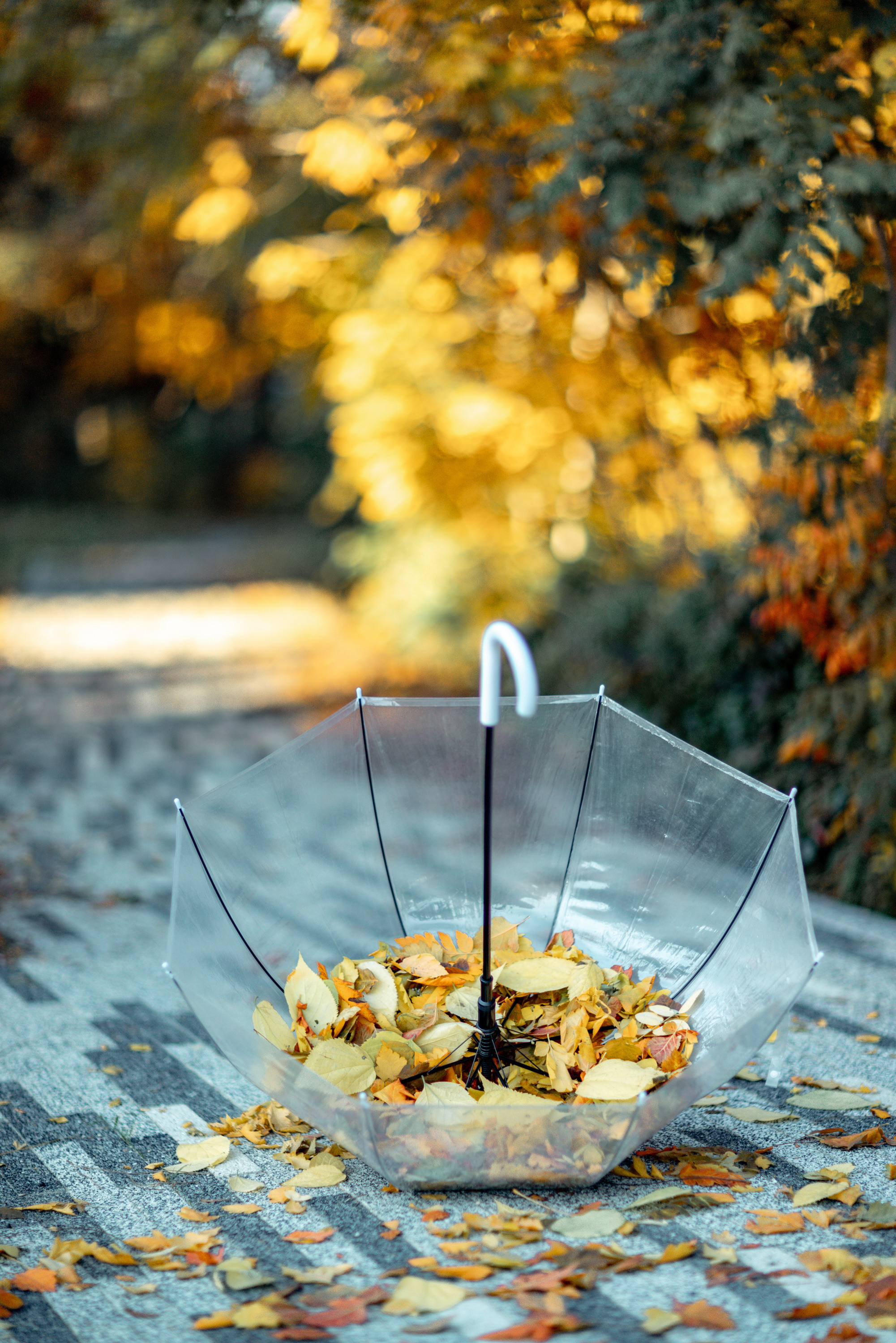 Осенняя съемка для Алены. Портретный семейный фотограф в Крымской красоте Светлана Матюнина