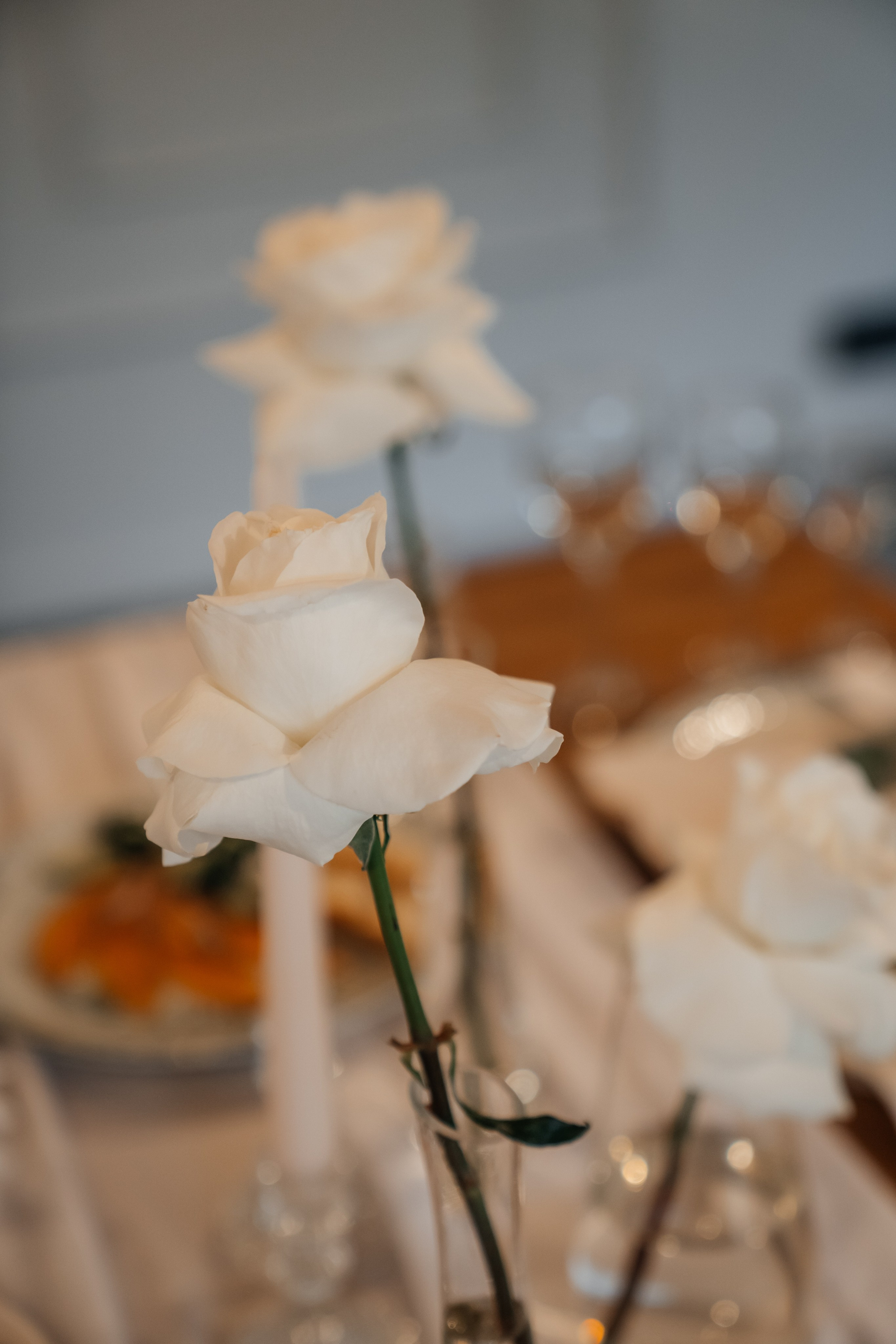 Павел и Анастасия. Свадебный и семейный фотограф В Барнауле Нечаева Таня