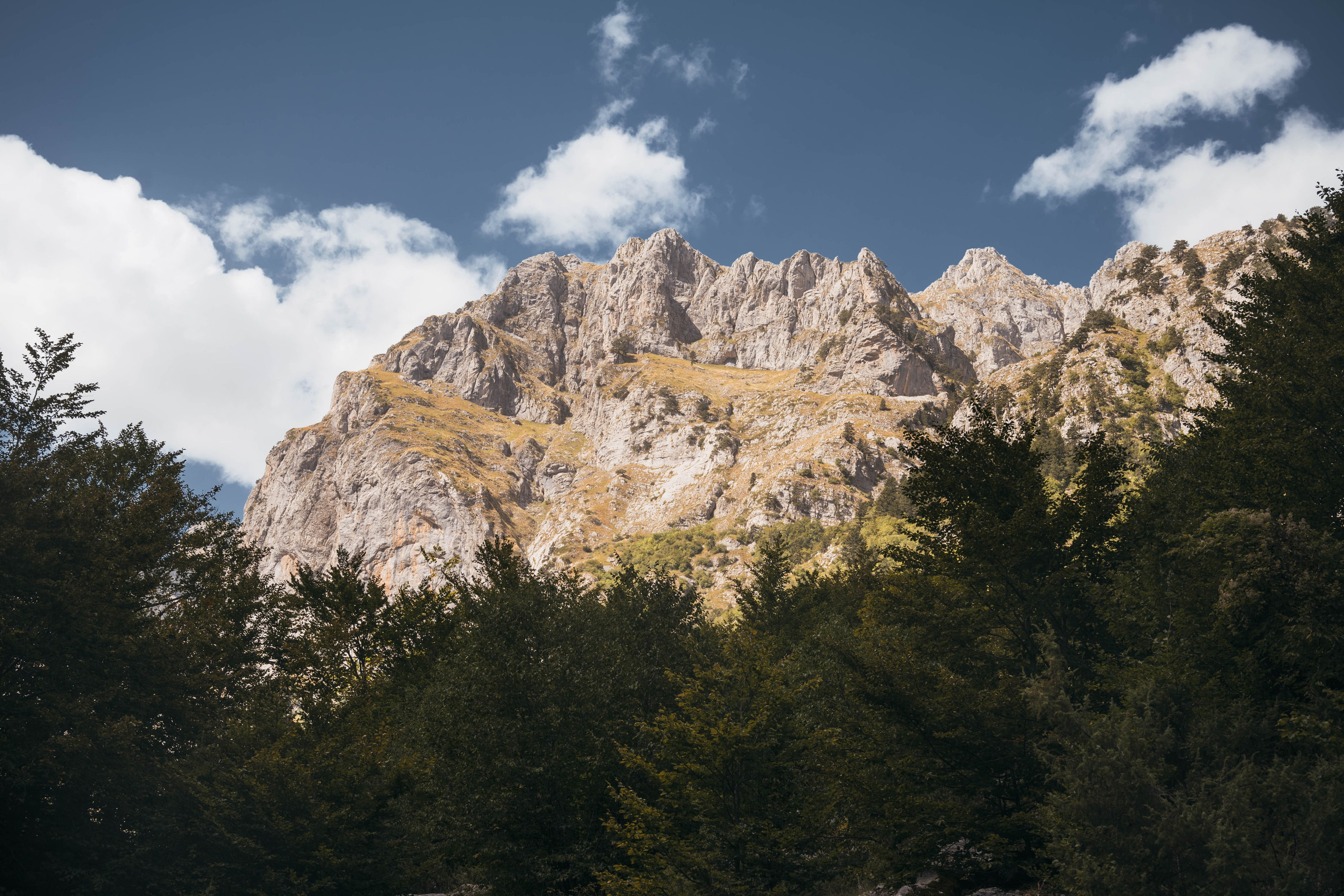 ДОЛИНА РАПОЯНА. ЧЕРНОГОРИЯ. Фотограф в Белграде Чугреева Елена