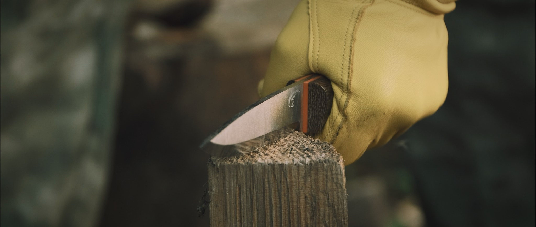 Колорист Александр Кошеленко