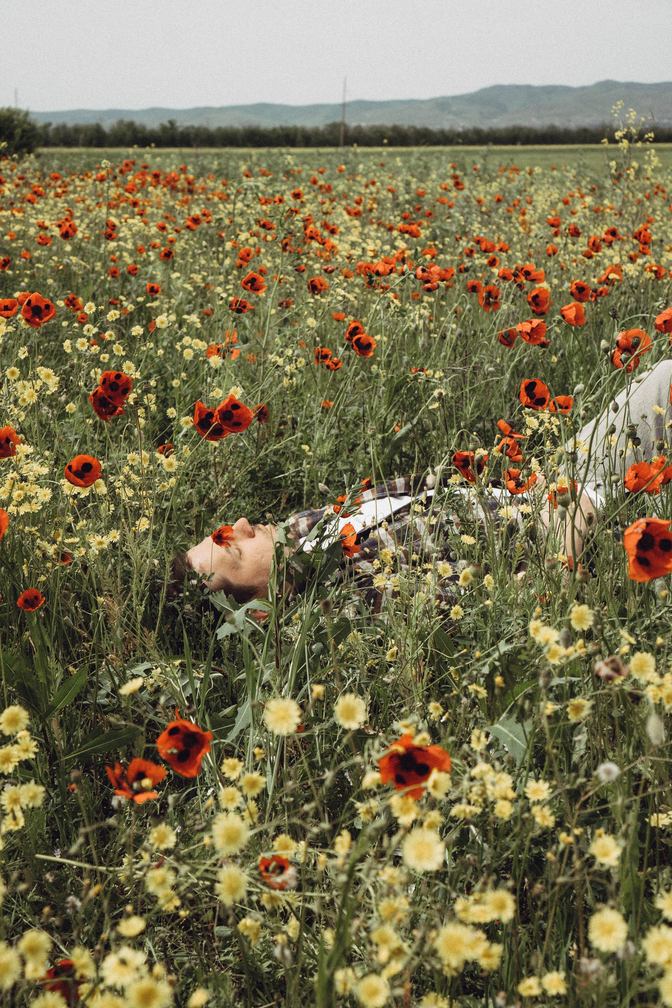 Маки. Профессиональный фотограф, Санкт-Петербург — Виктория Богомолова