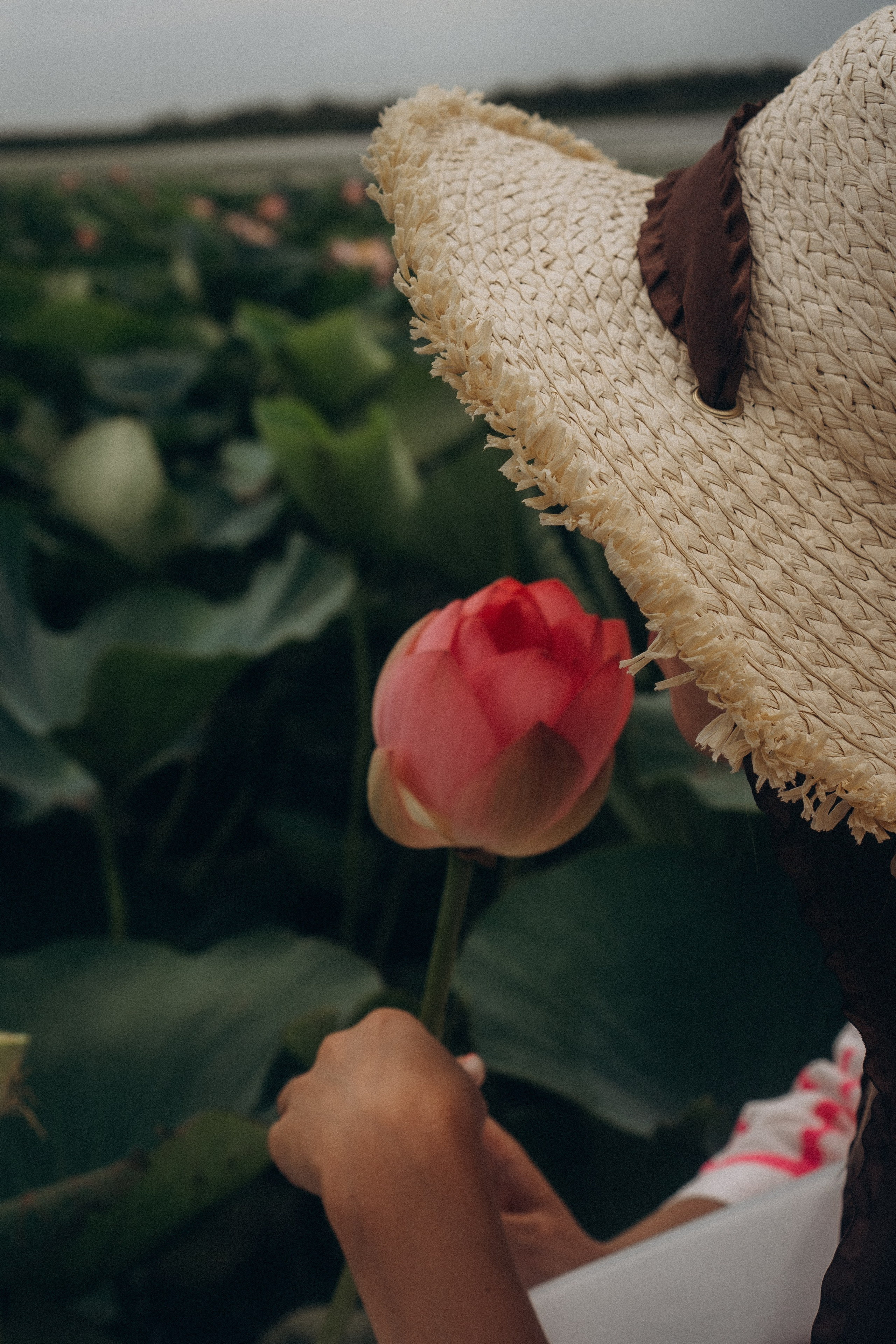 ЛОТОСОВАЯ ПОЛЯНА. Профессиональный фотограф, Санкт-Петербург — Виктория Богомолова