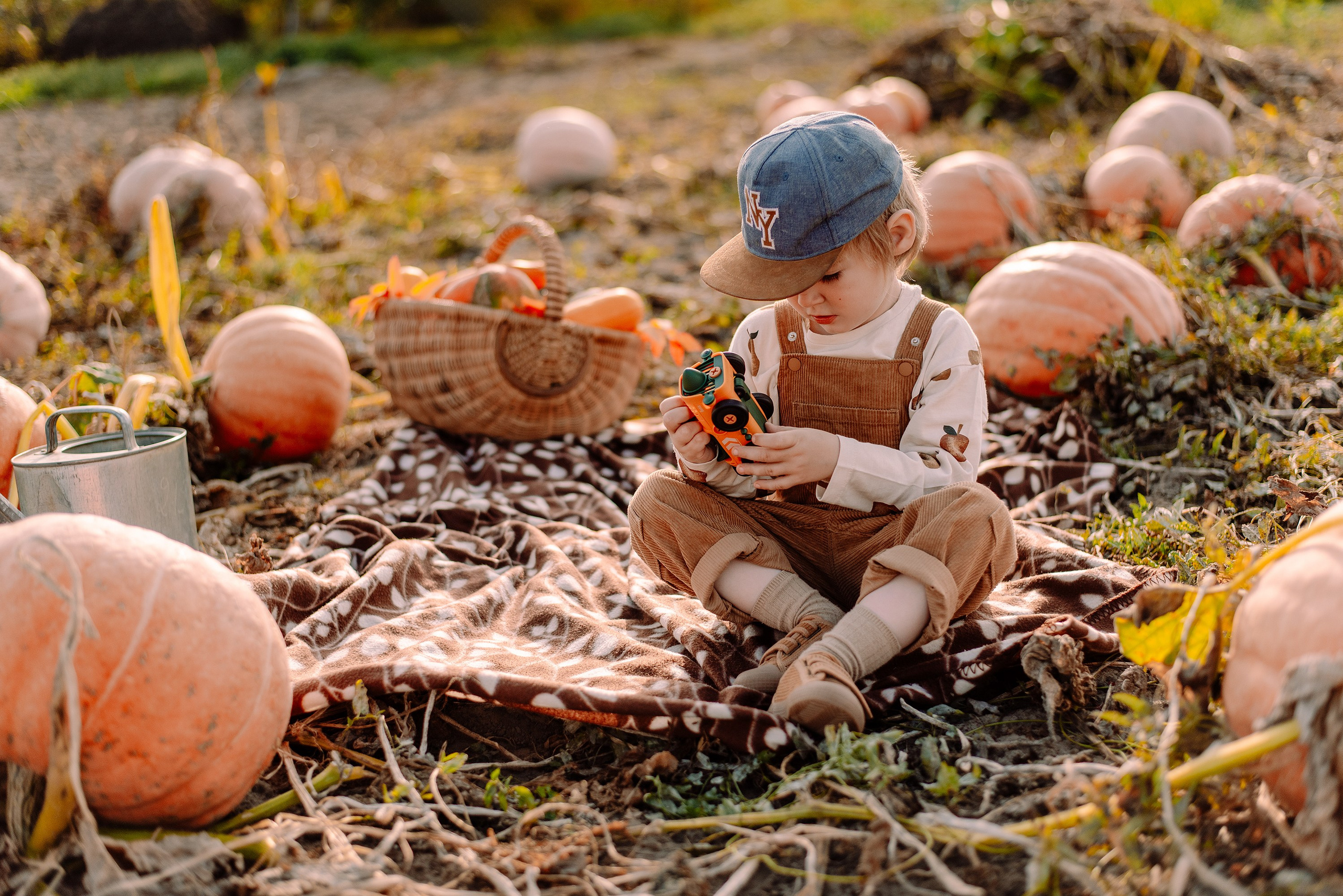 Pumpkin. Семейный и свадебный фотограф в Рязани Лиза Голованова