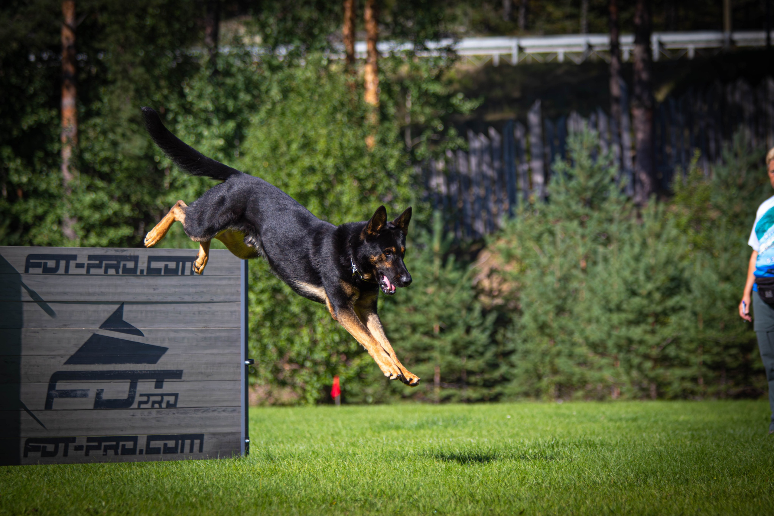 Репортажная фотосессия 