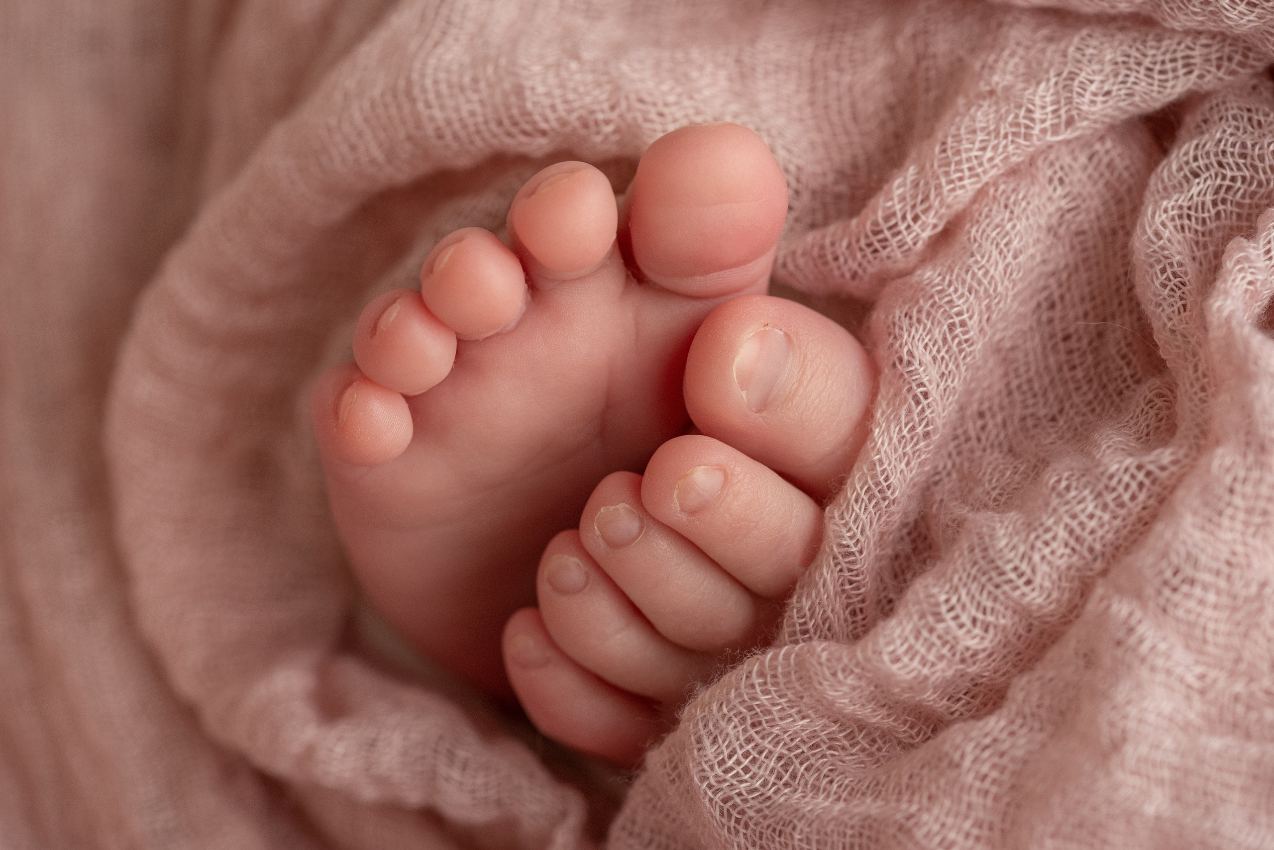 Новорожденные. Фотограф новорожденных Санкт-Петербург Екатерина Фадеева