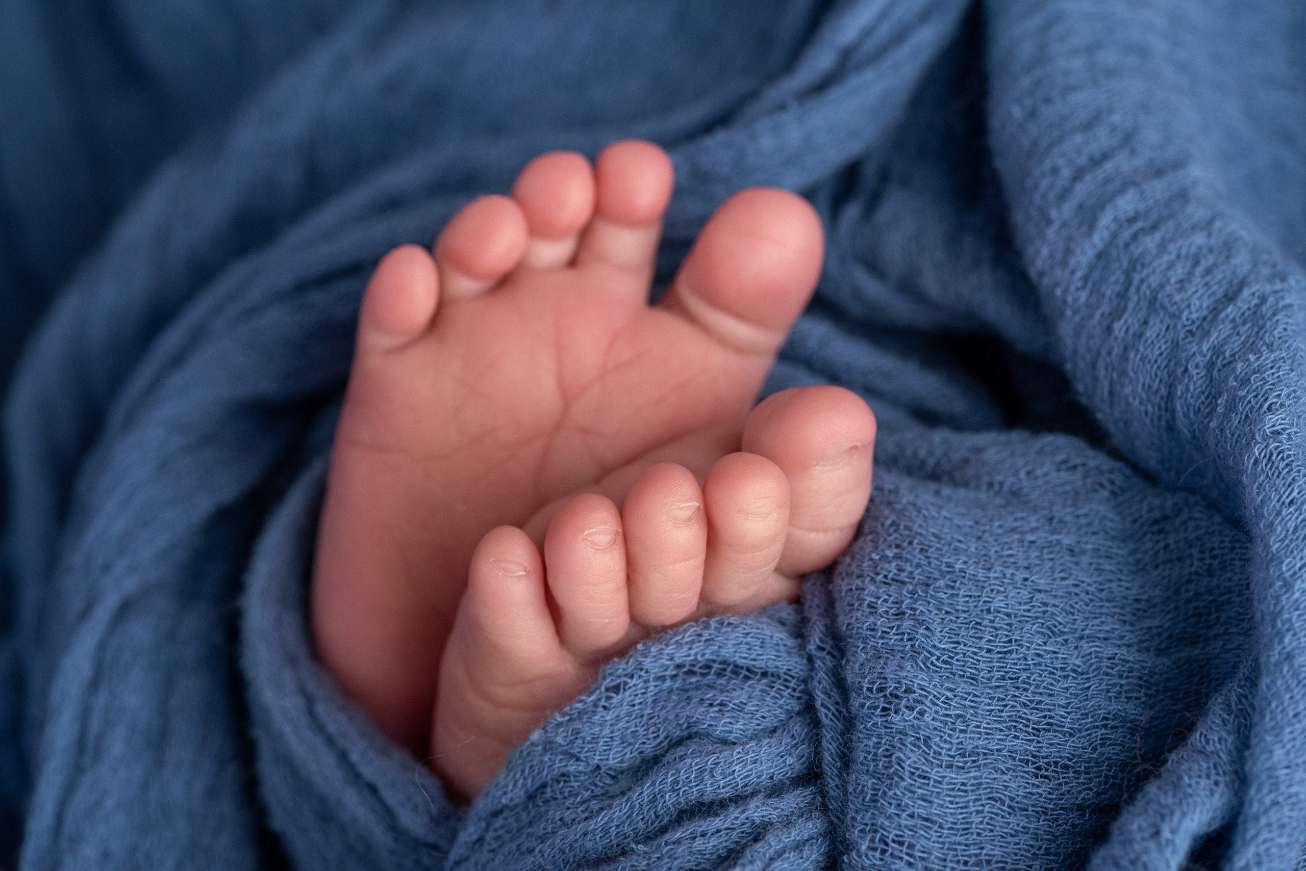 Новорожденные. Фотограф новорожденных Санкт-Петербург Екатерина Фадеева