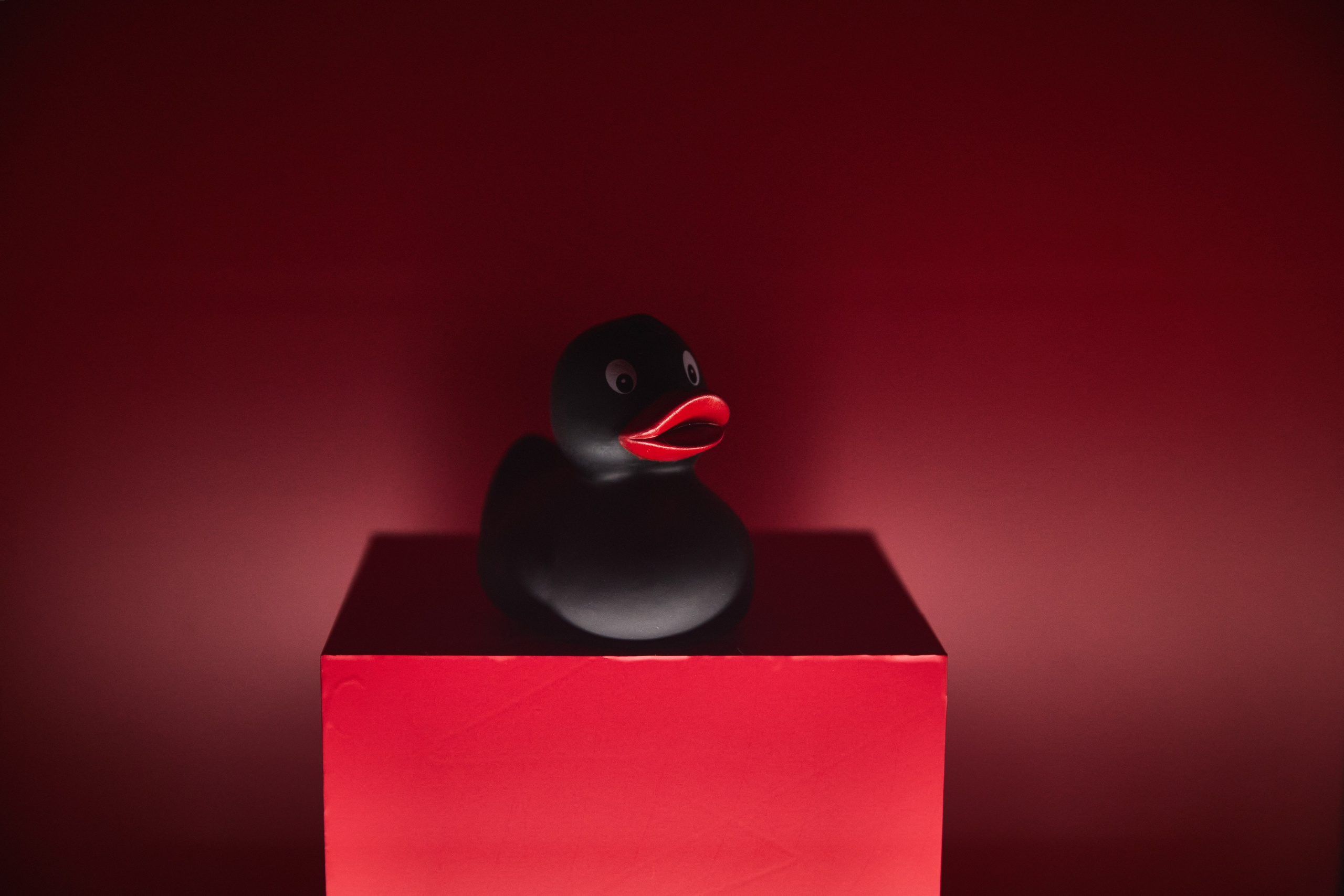 Альфа-Банк: Собрание Искусств в Санкт-Петербурге. КонТайм: профессиональная съемка для организаций