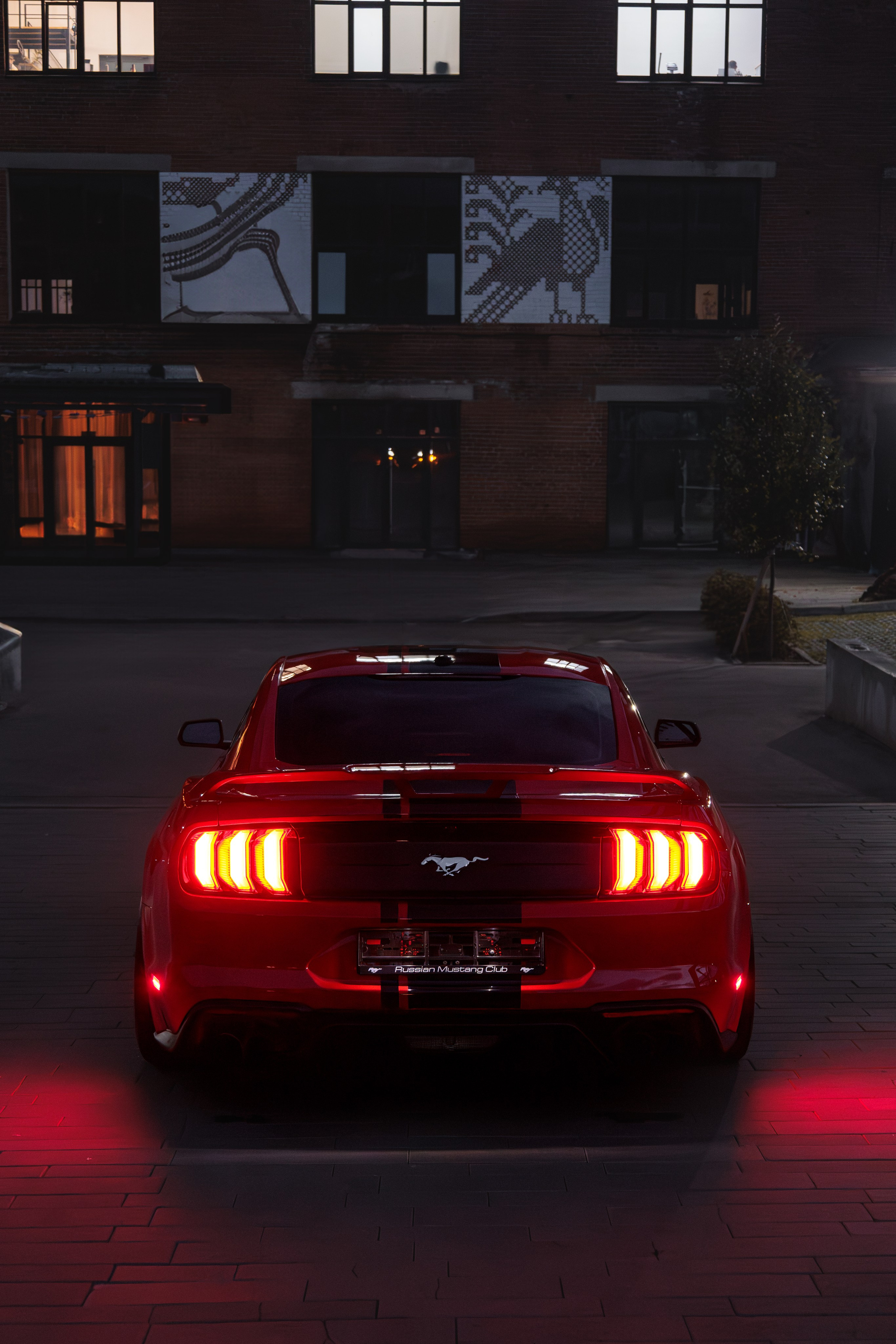 Mustang. Мелехов Дмитрий|Фотограф|Видеограф