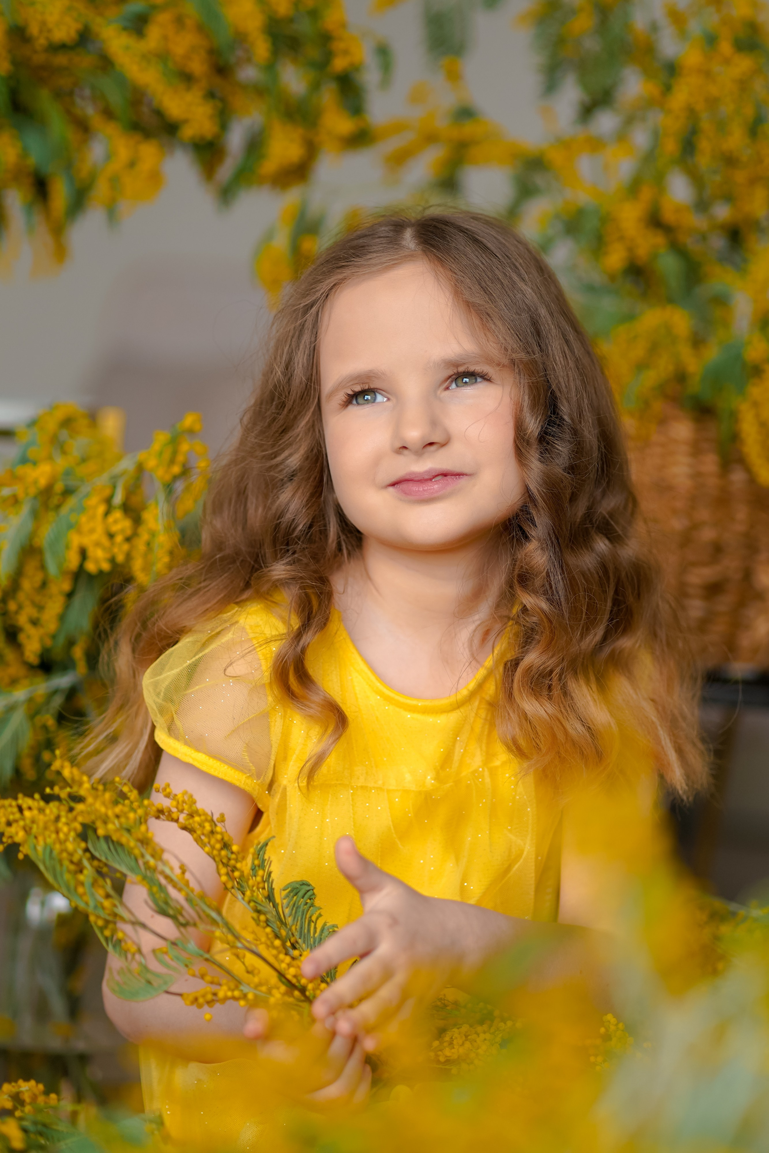 Мимоза. Фотограф Татьяна Митрофанова