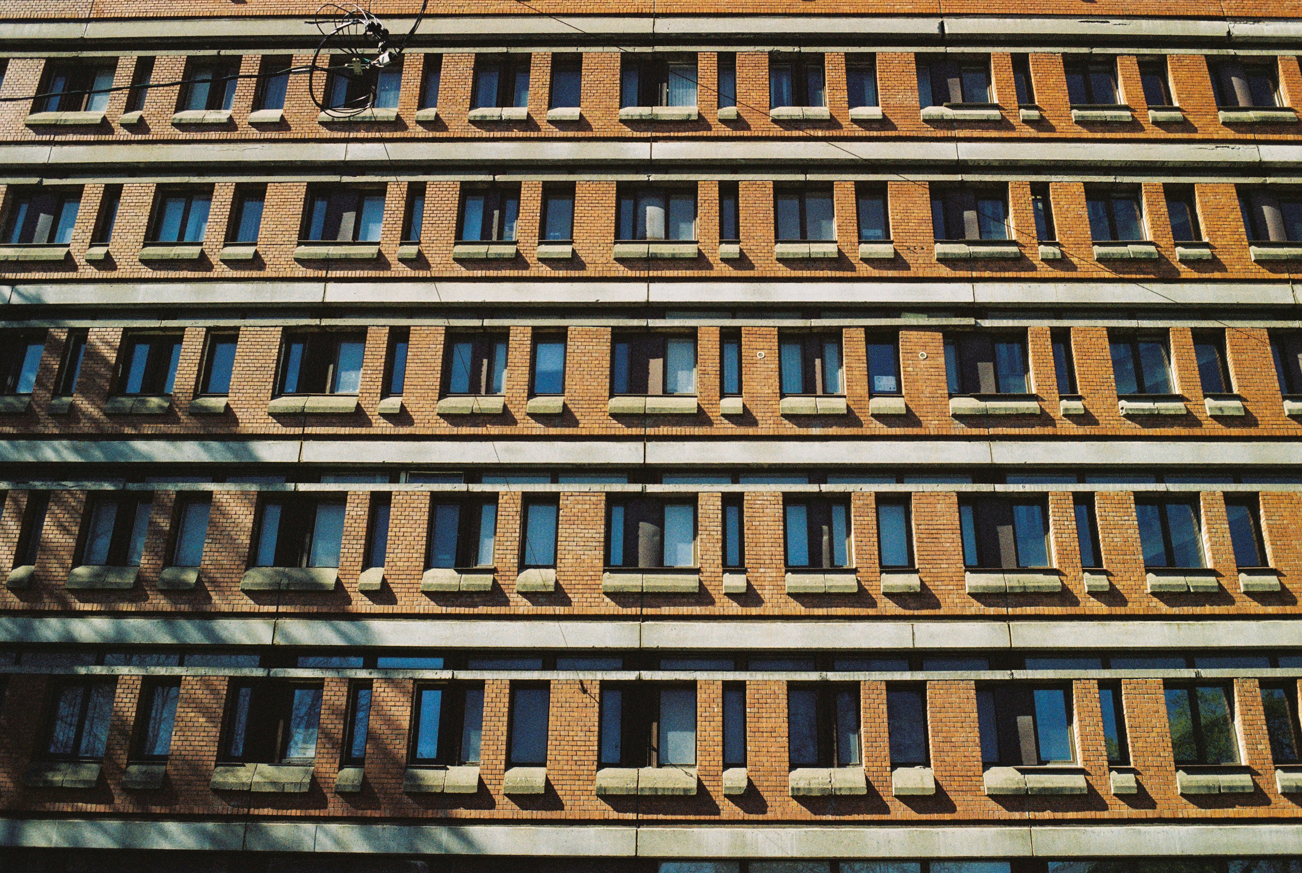 Плёночная весна 2025. Илья Михачёв Фотограф ПРО людей