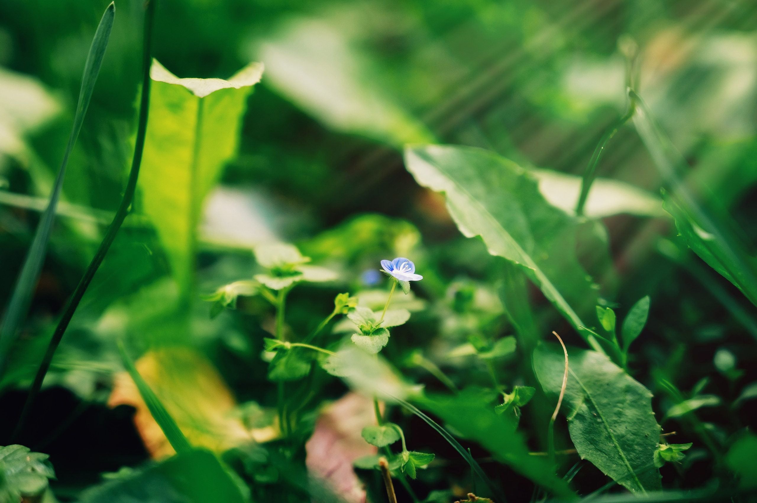 День Шахтёра в Парке Чудес 30.08.2025. Детский фотограф, семейный фотограф и репортажи в Кемерово