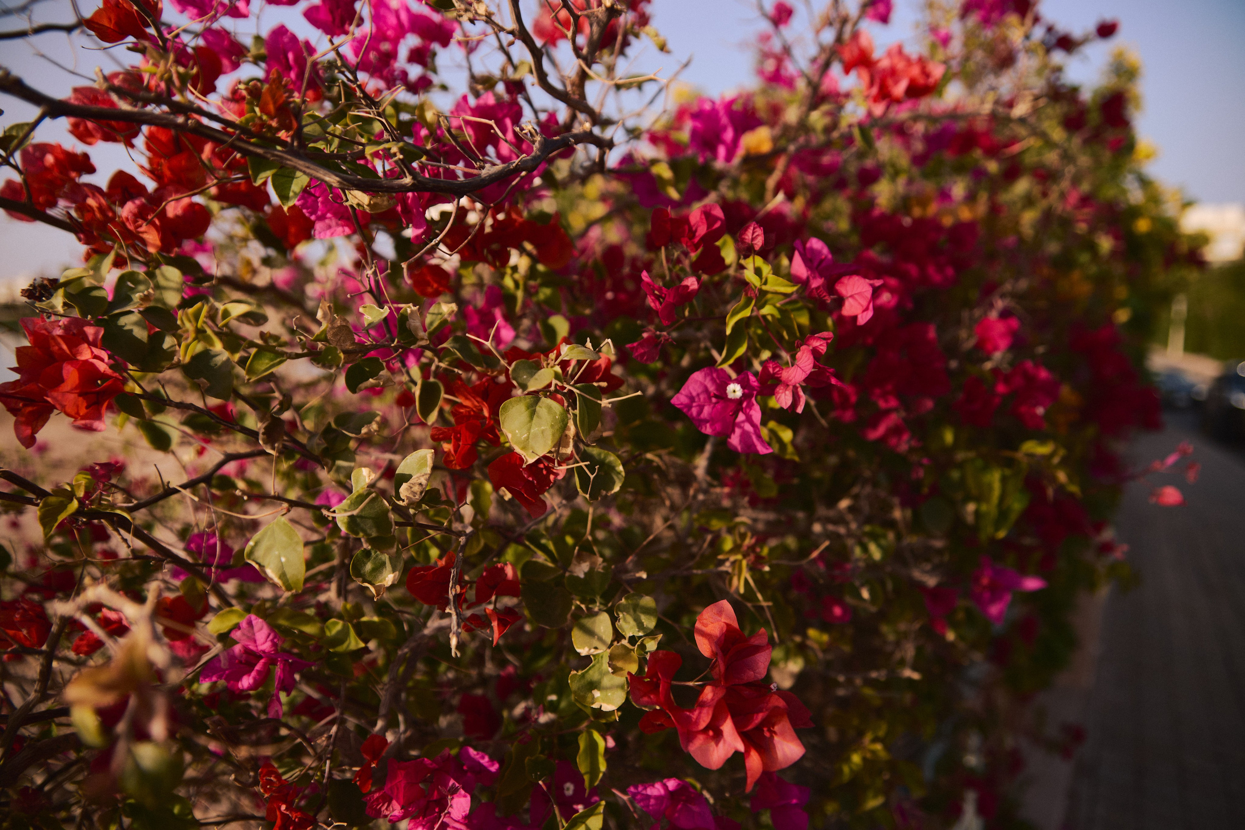 Улица горизонтальная. Jorgis — фотограф в Хургаде / обучение фотографии