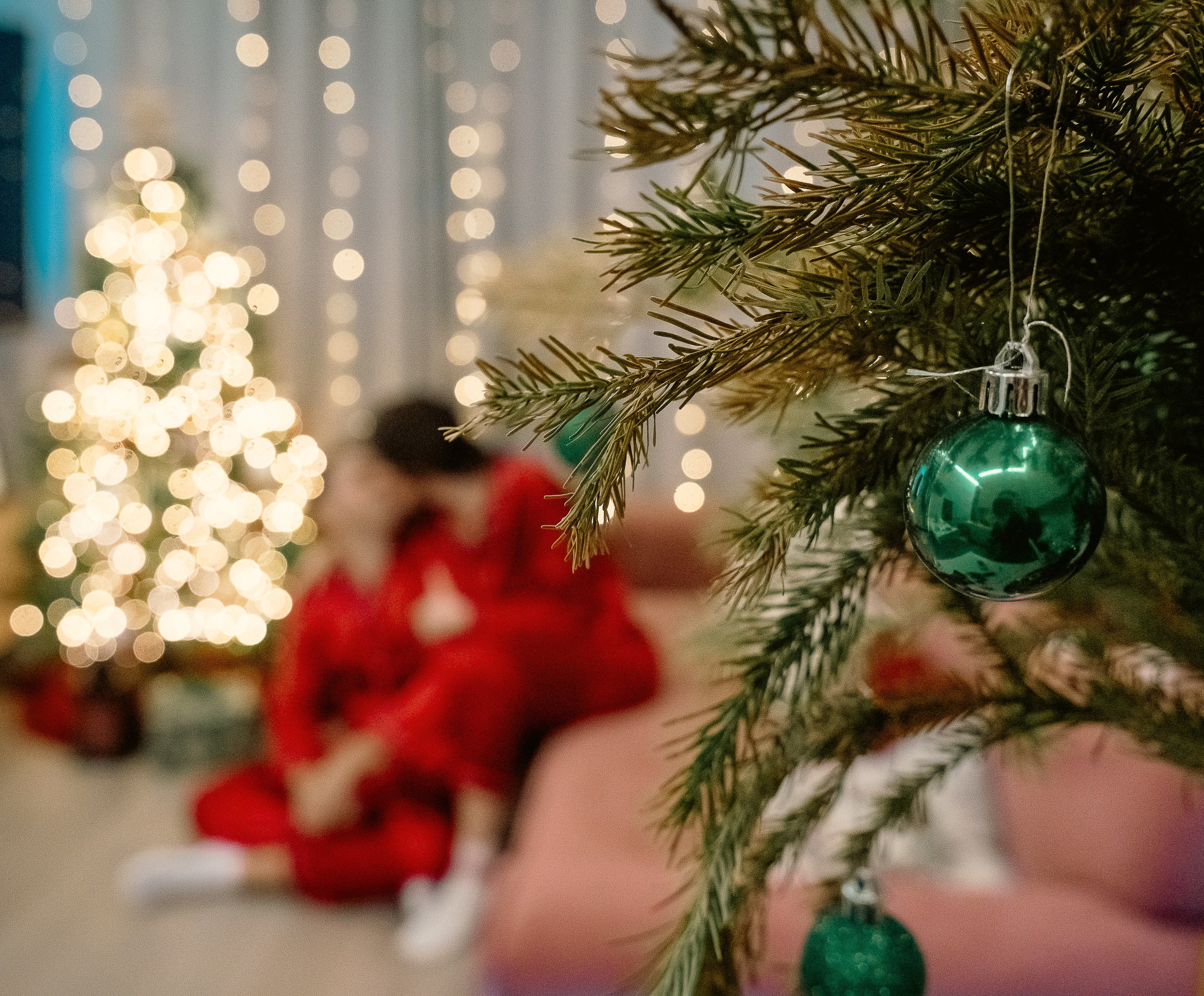 Новый год. Профессиональный фотограф в Москве Марина Григорьева