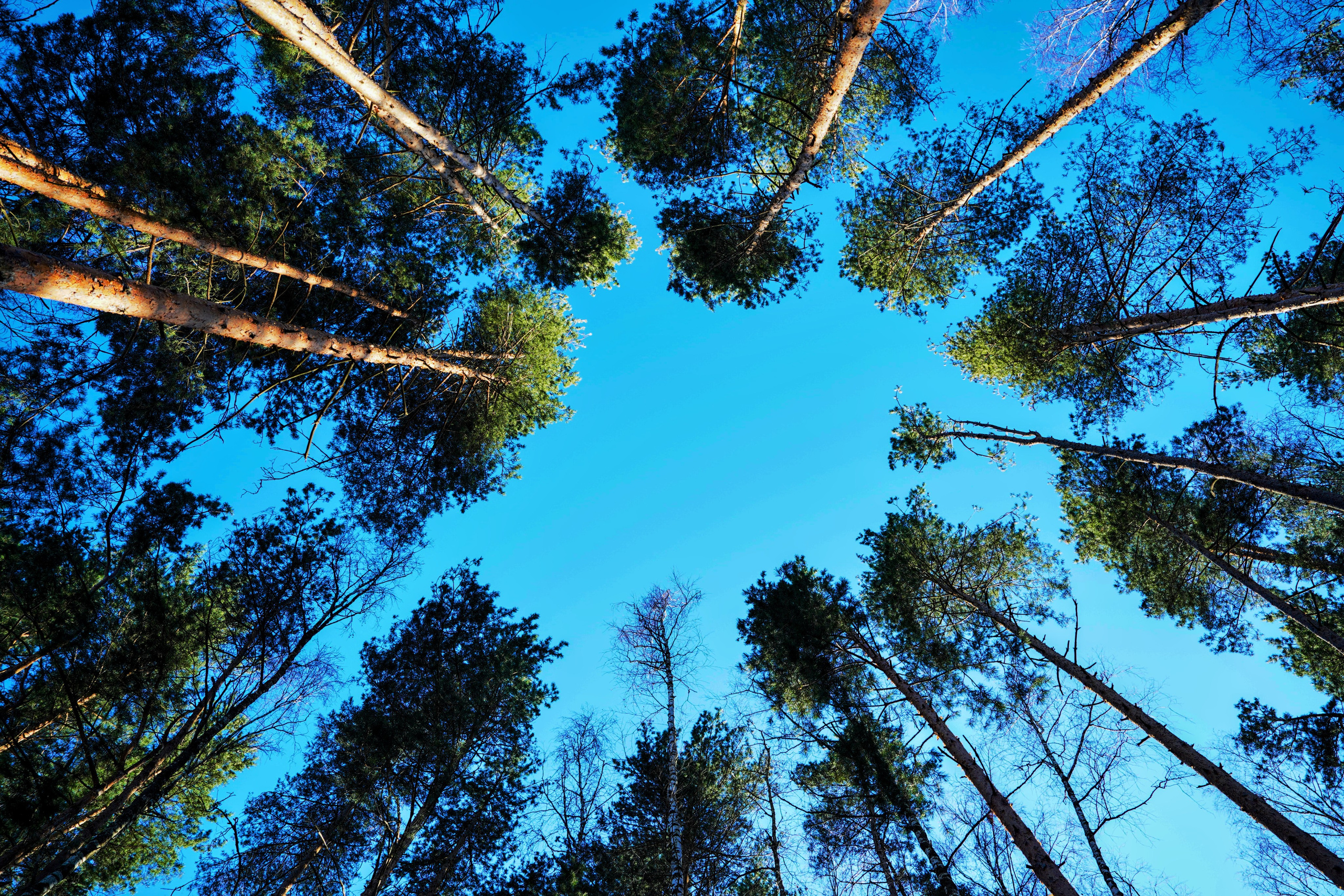 NATURE. Репортажный и уличный фотограф в Щёлково Александра Пименова