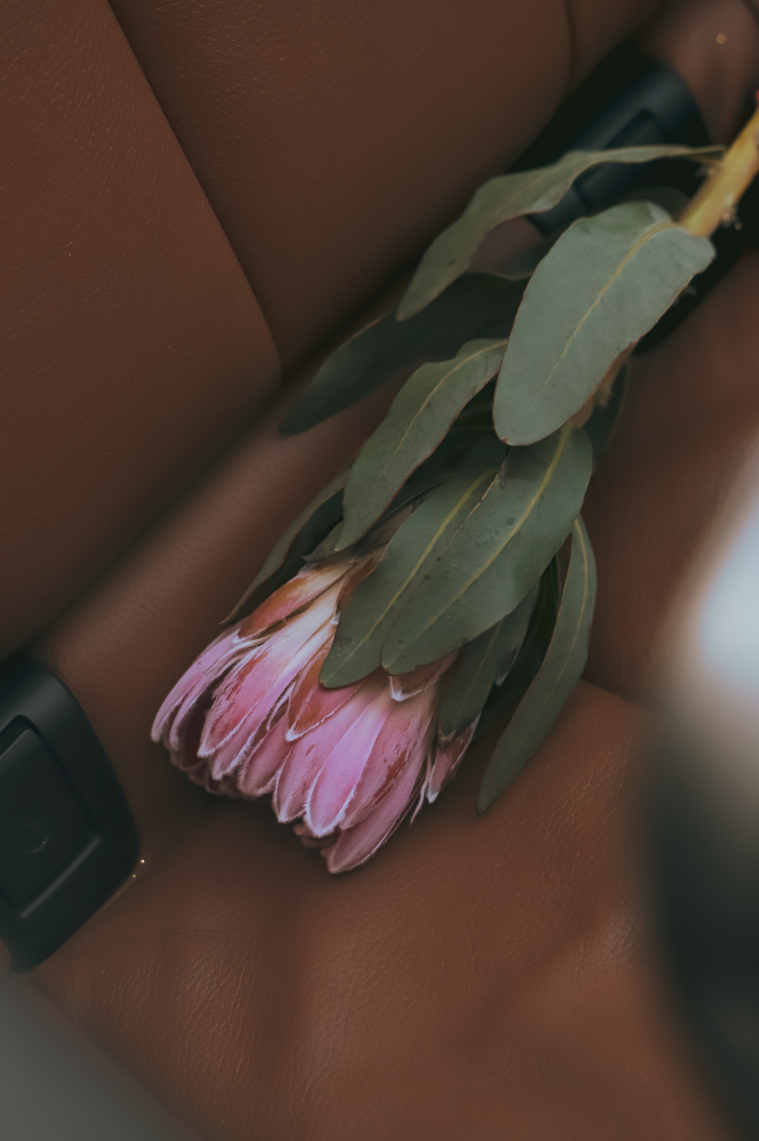 Никита и Алина. Фотограф Москва и МО Анастасия Пясковская