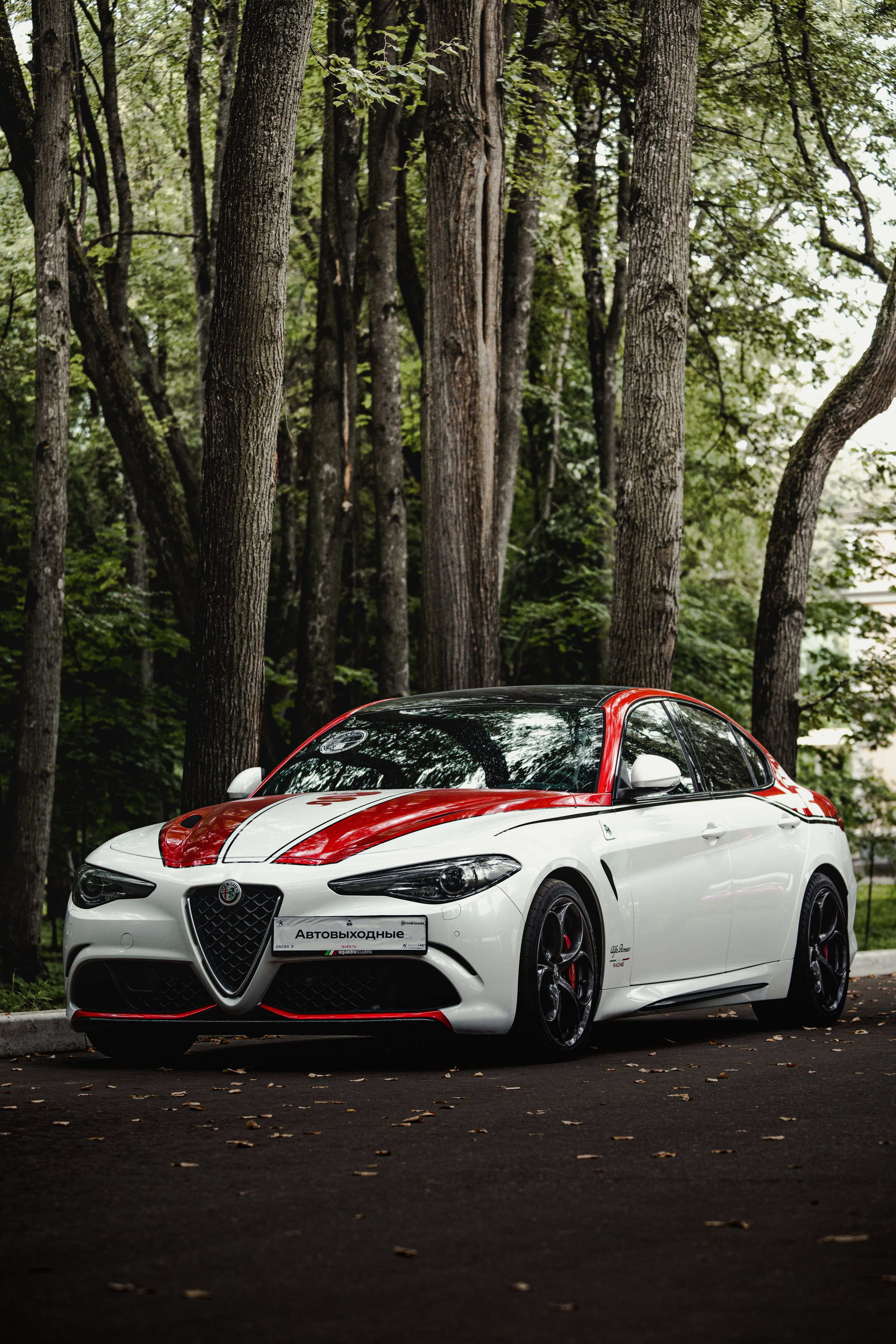 Автовыходные в Архангельской усадьбе. Спортивный фотограф — Никита