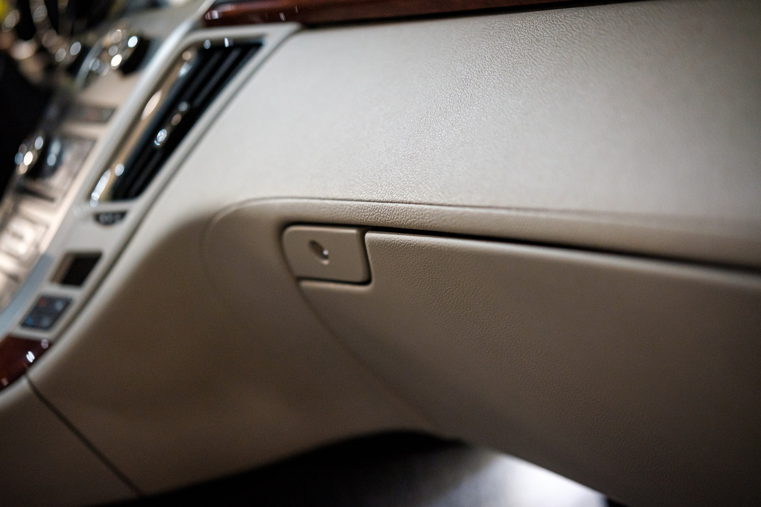 Кэдди. Алексей Никифоров фотограф Москва, Химки