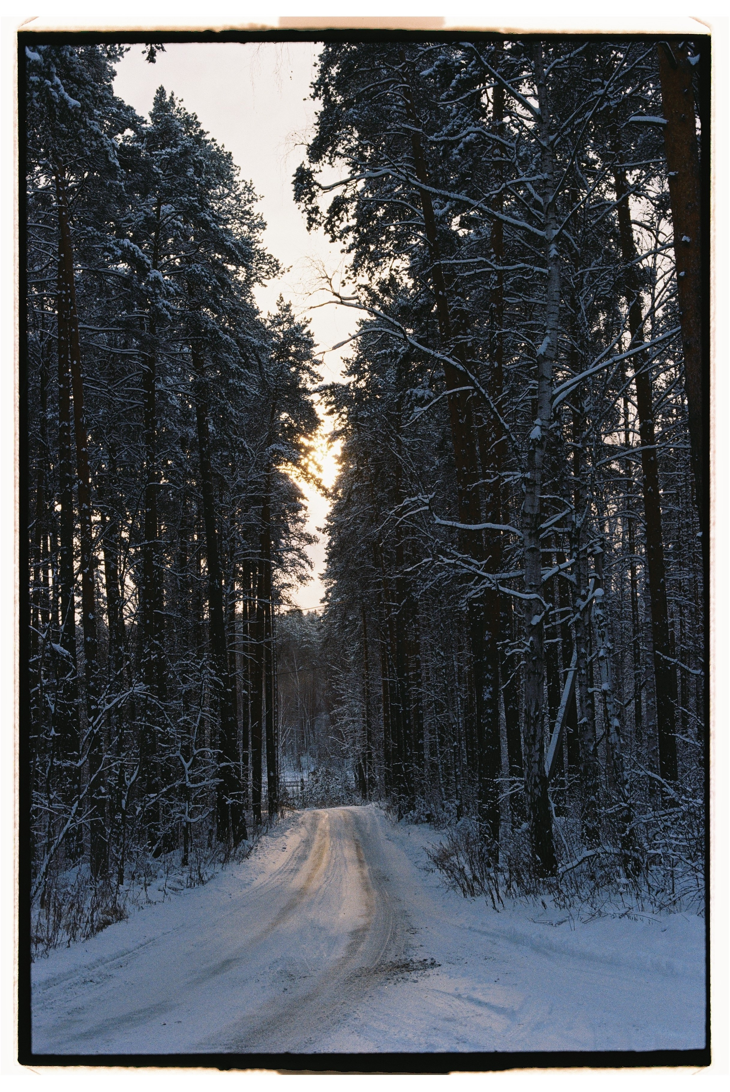 Пленка. Семейный свадебный фотограф Семен Егоров