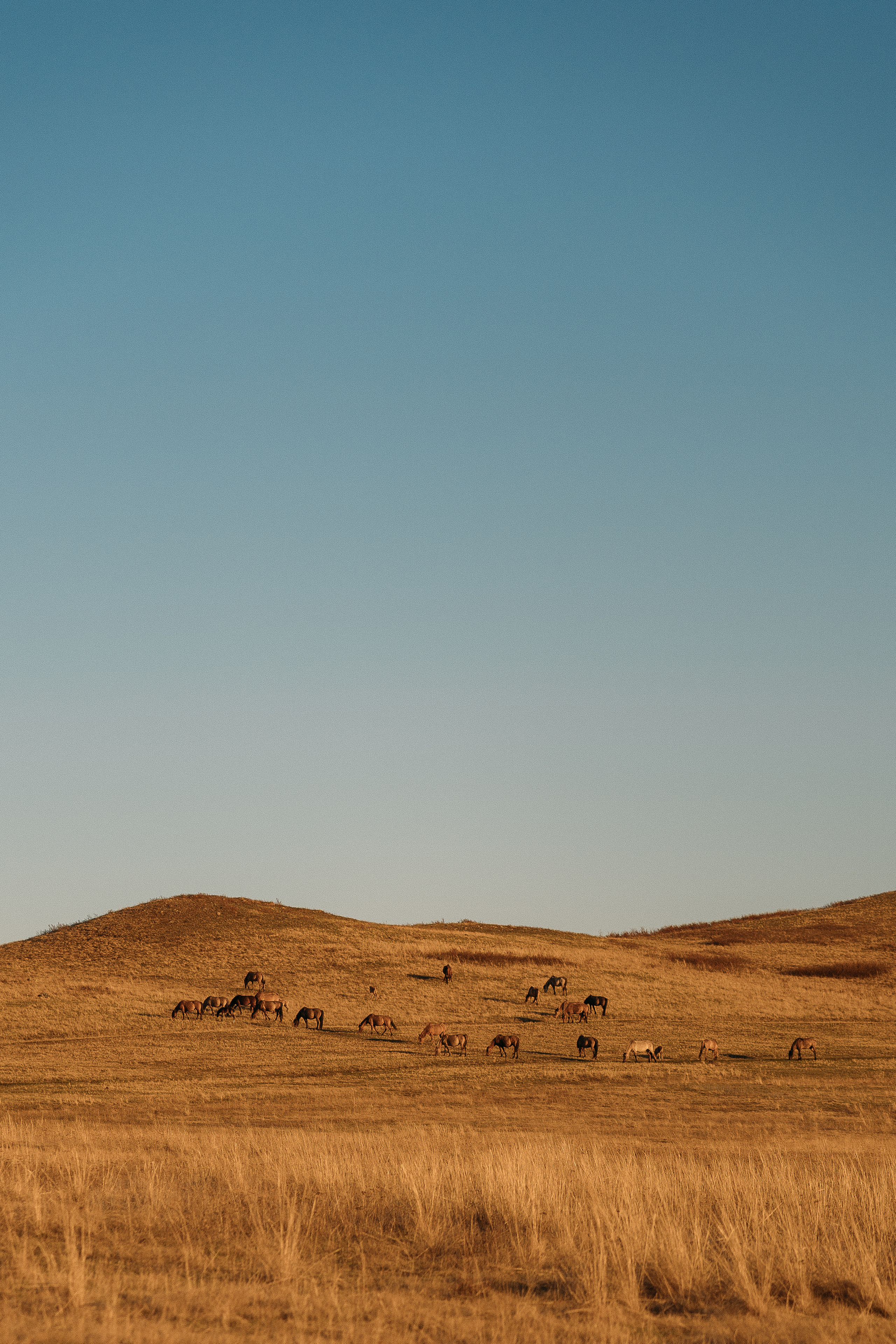 Арина и Данил. Фотограф Ольга Маленьких
