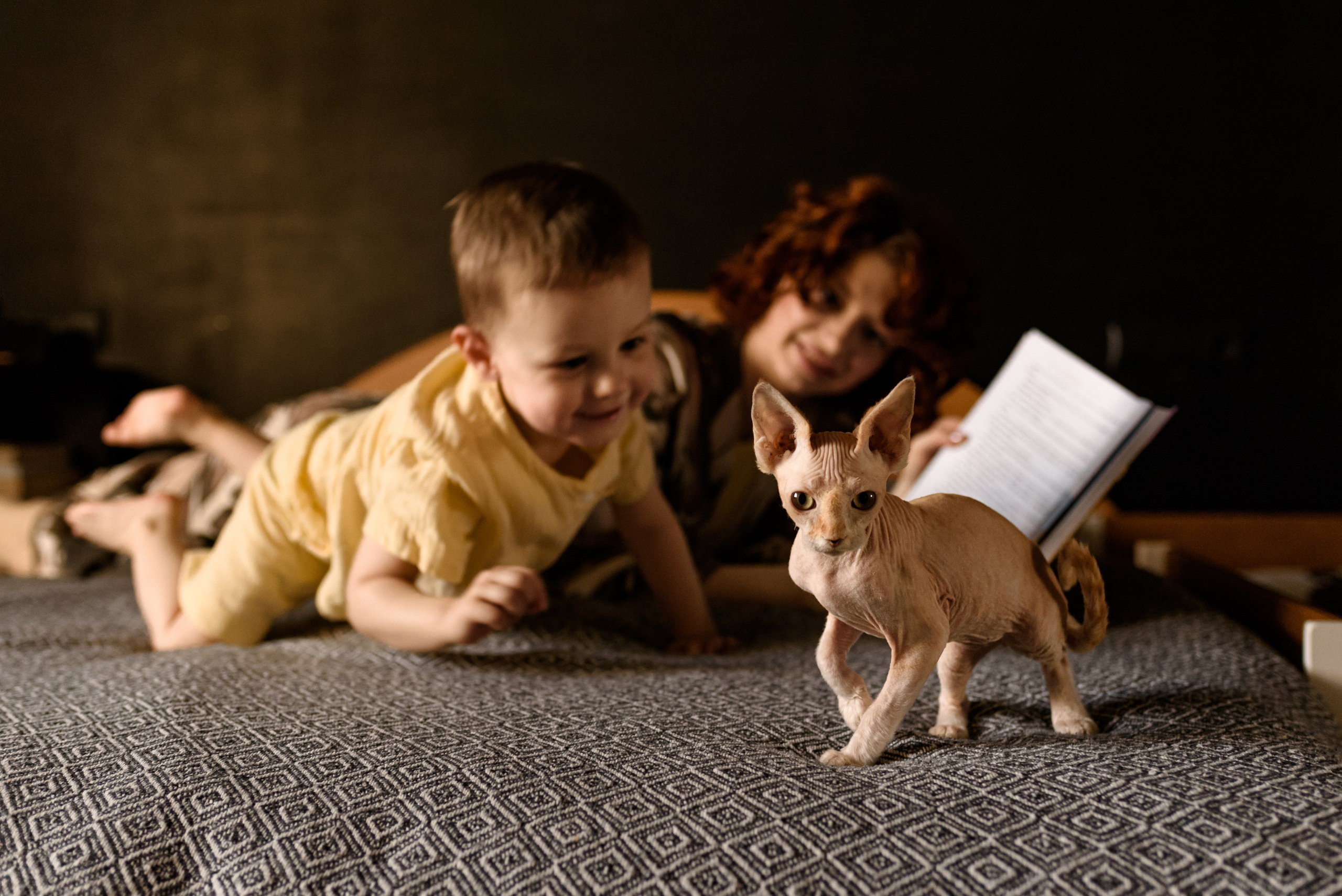Kseniya & Damir. Семейный, Свадебный фотограф СПБ Питер— Романова Екатерина