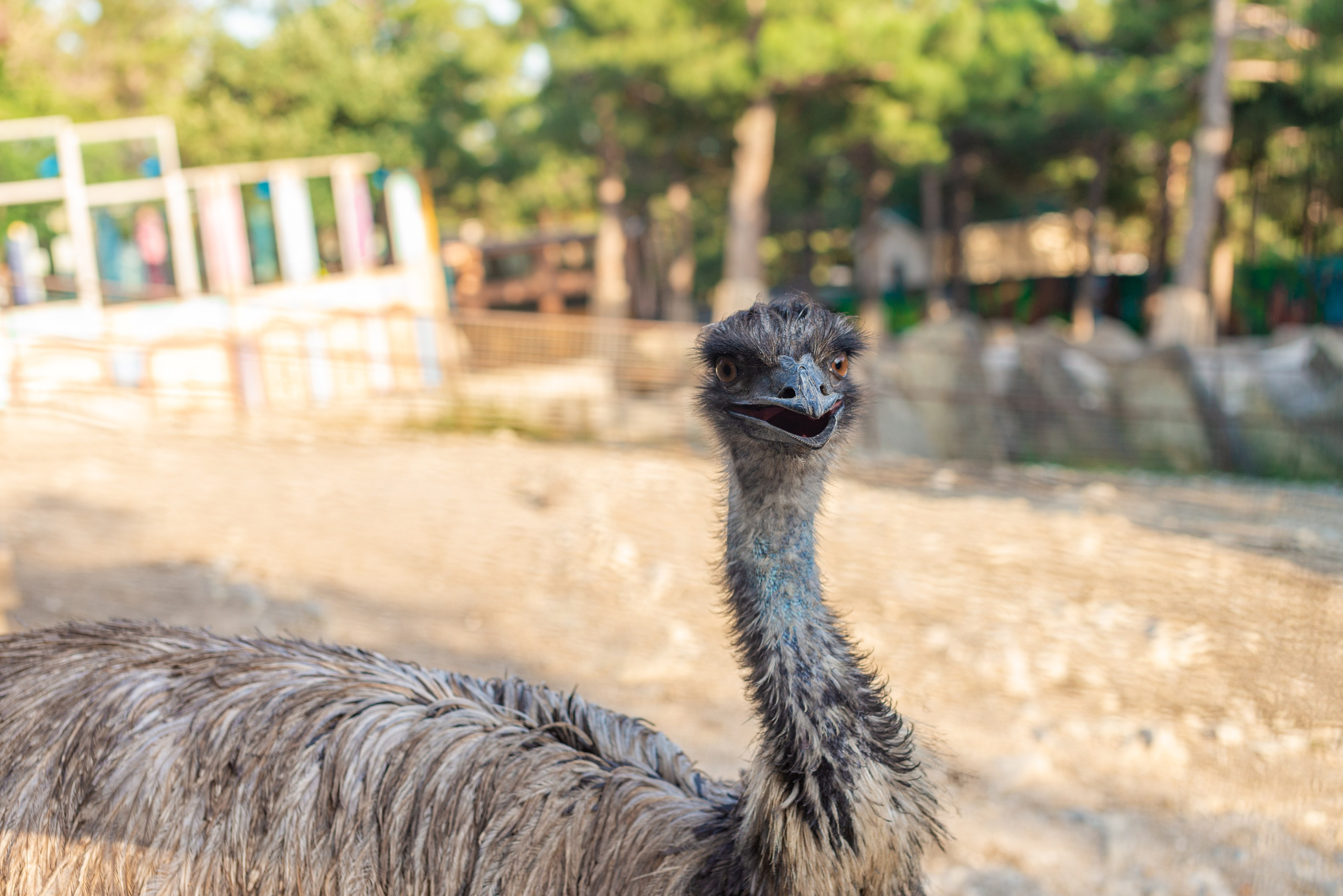 Июнь–Июль Отпуск Белореченск, Геленджик. Семейный, Свадебный фотограф СПБ Питер— Романова Екатерина