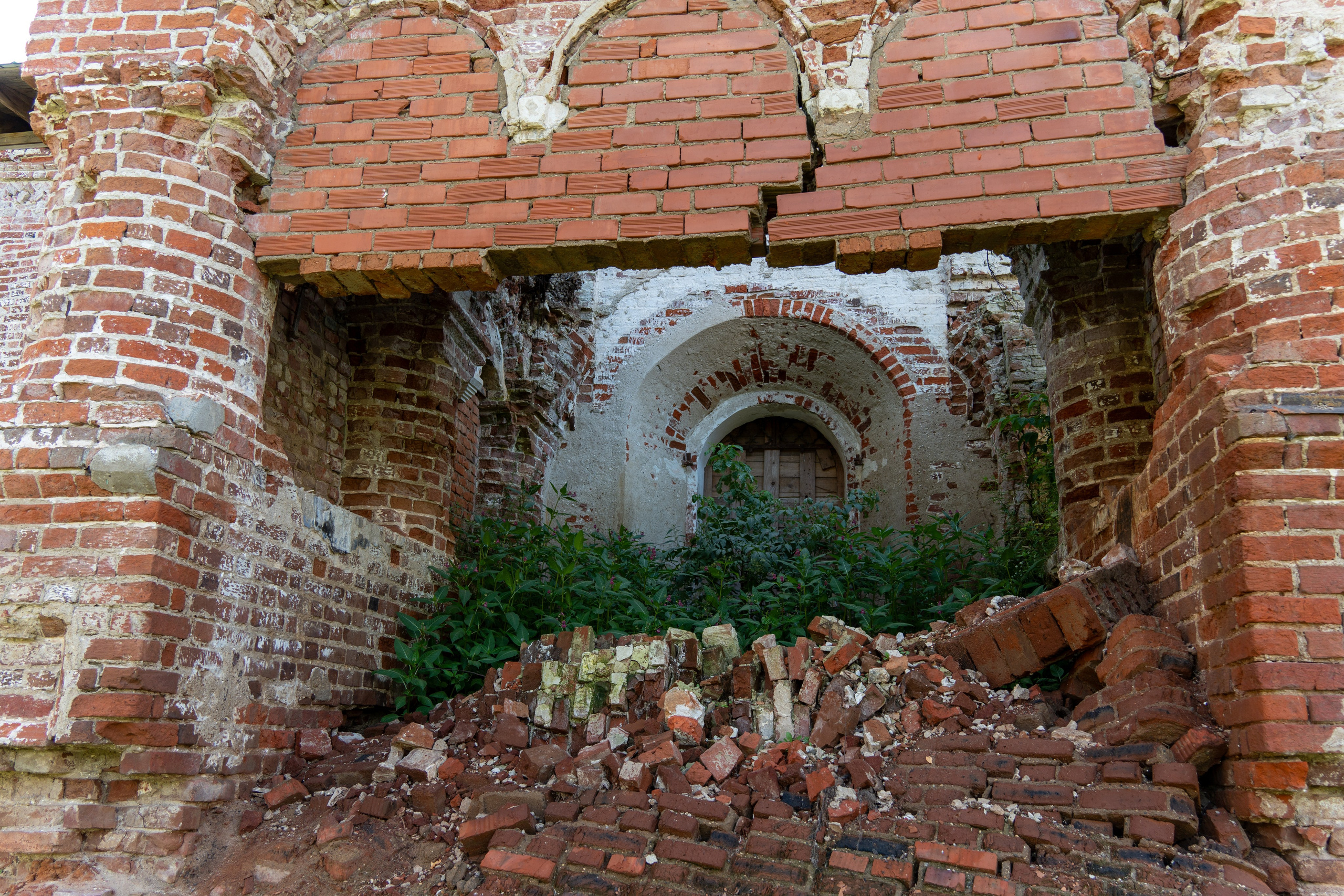 20250729-30 Ростов. Дмитрий Ремизов. Фотография, как хобби