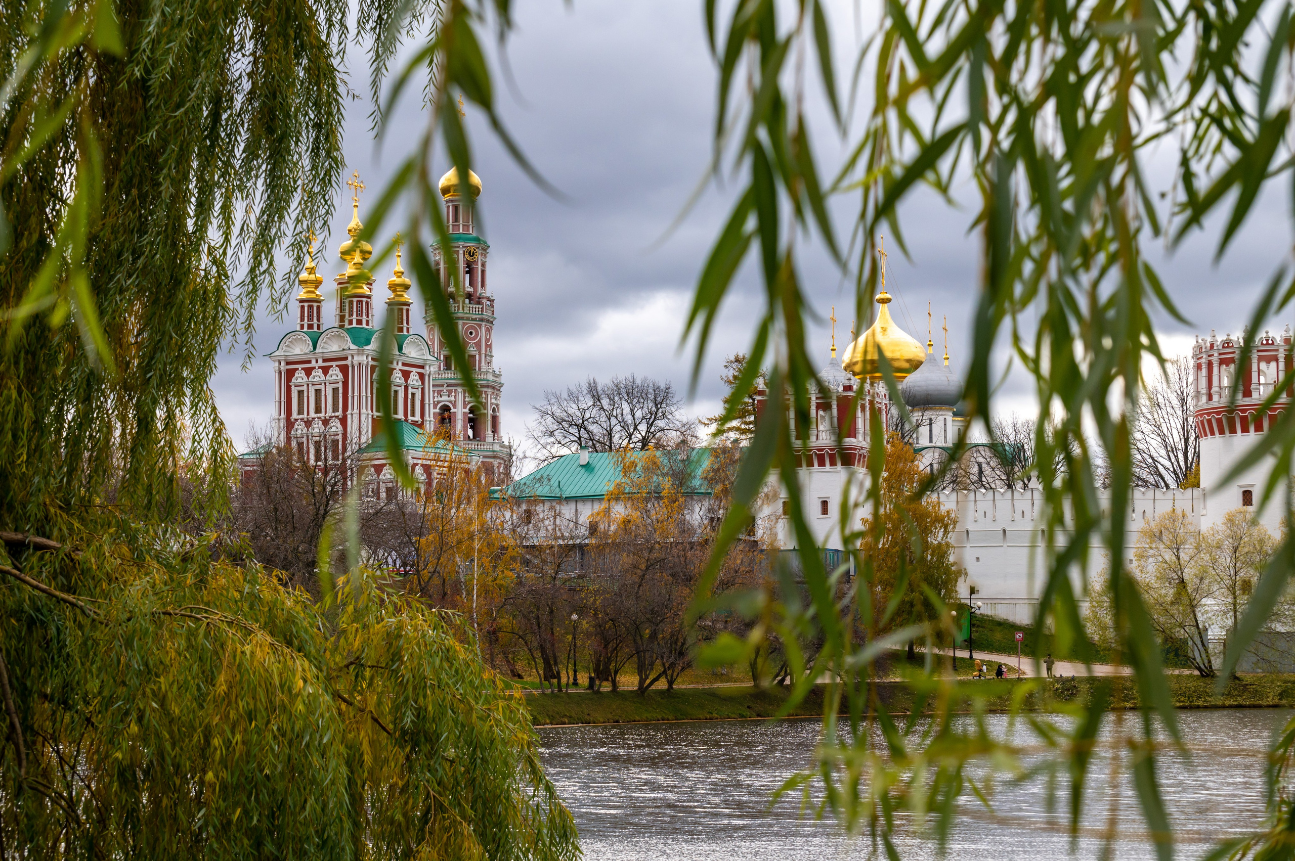 20221030 Новодевичий. Дмитрий Ремизов. Фотография, как хобби