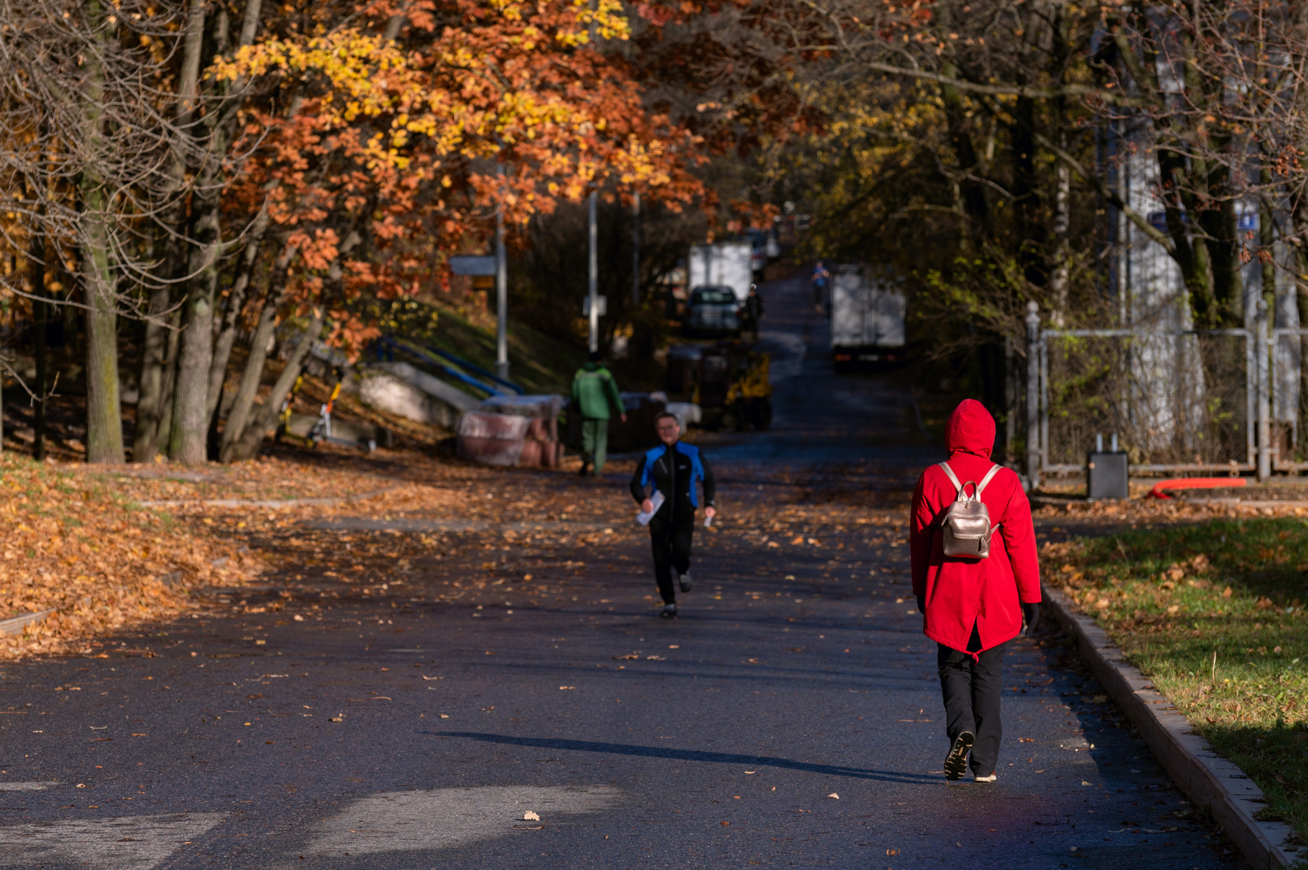20241102 МГУ. Дмитрий Ремизов. Фотография, как хобби
