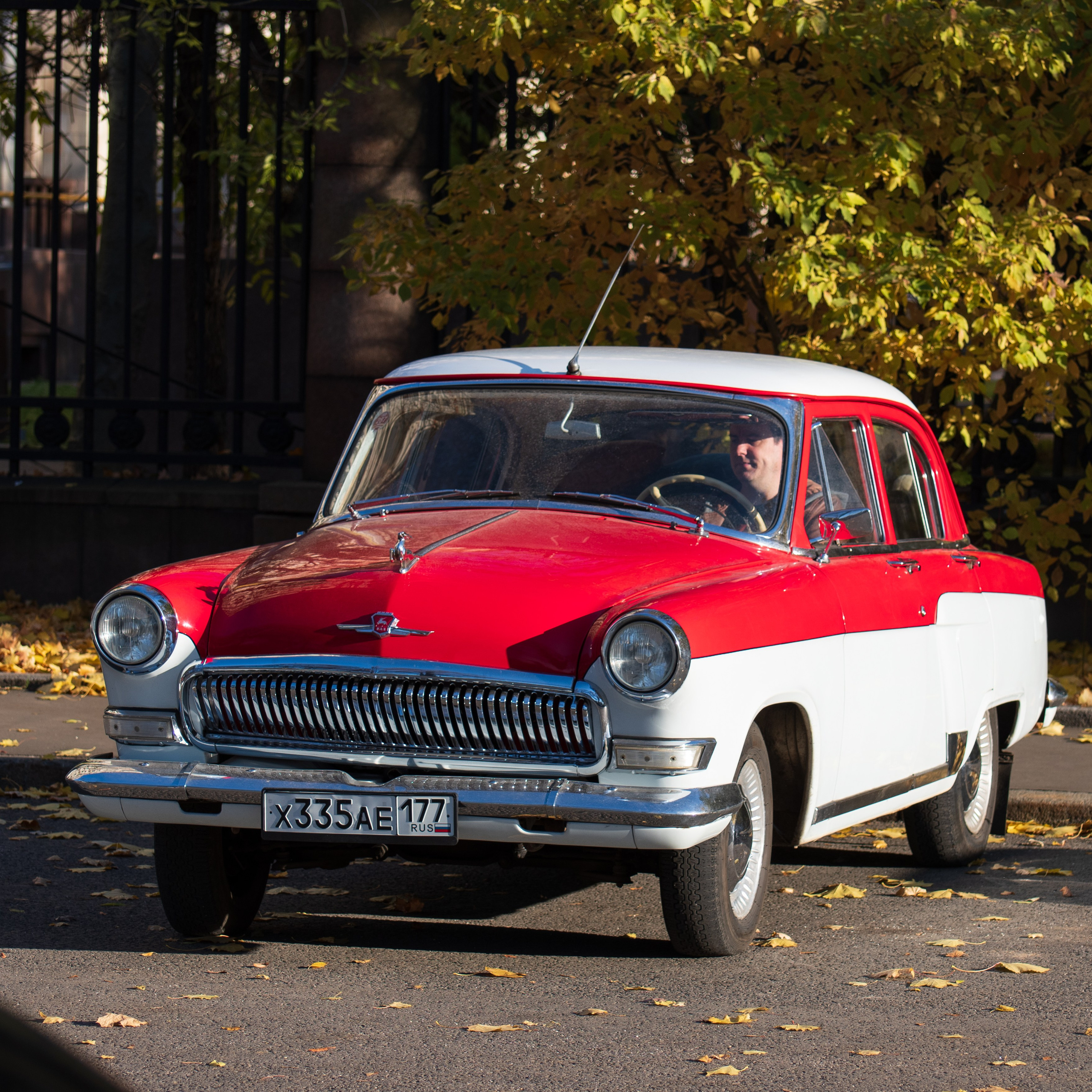 20211010 МГУ. Дмитрий Ремизов. Фотография, как хобби