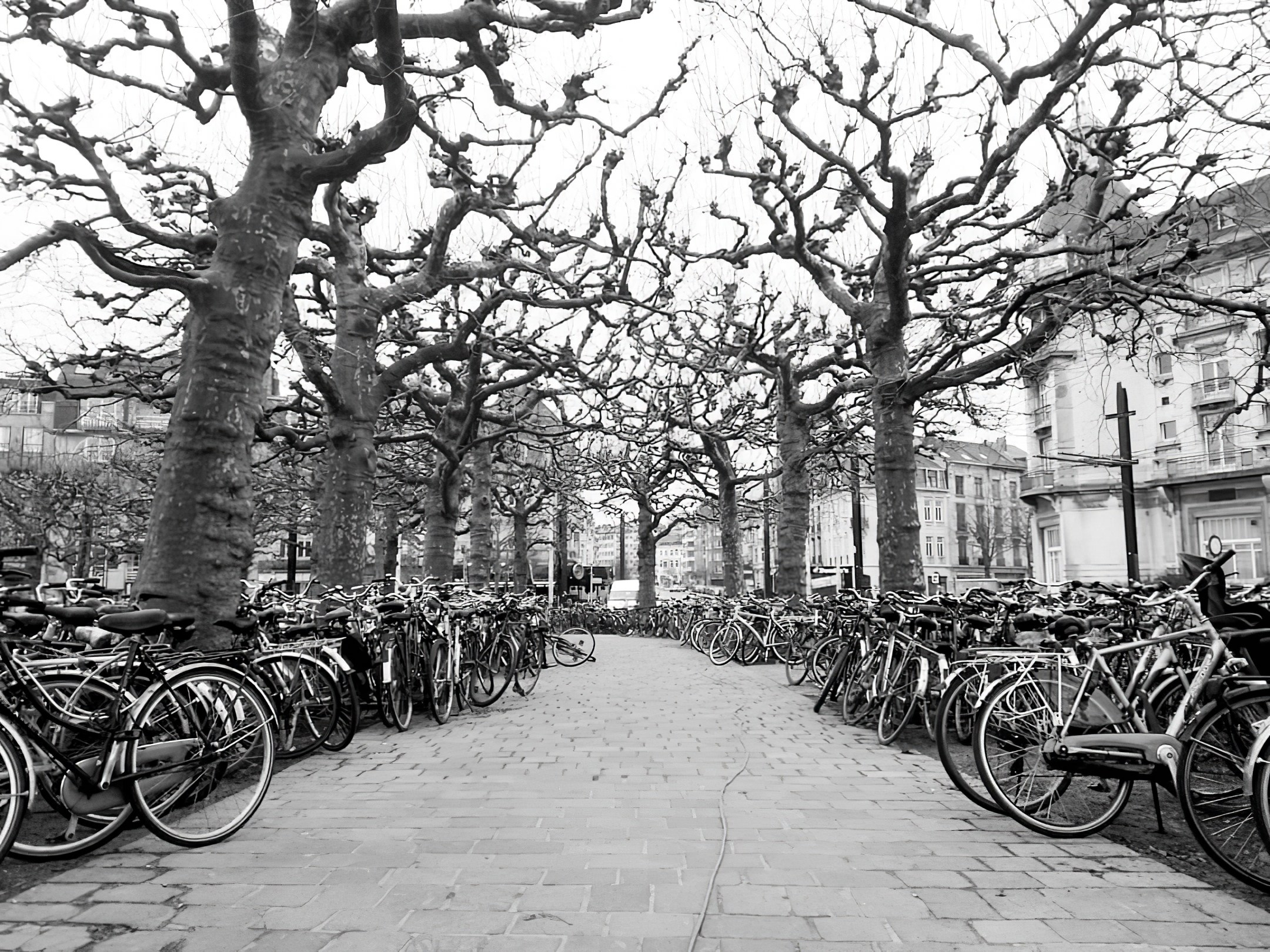 Мобильное. Дмитрий Ратихин. Видеограф и фотограф в Санкт-Петербурге и Москве