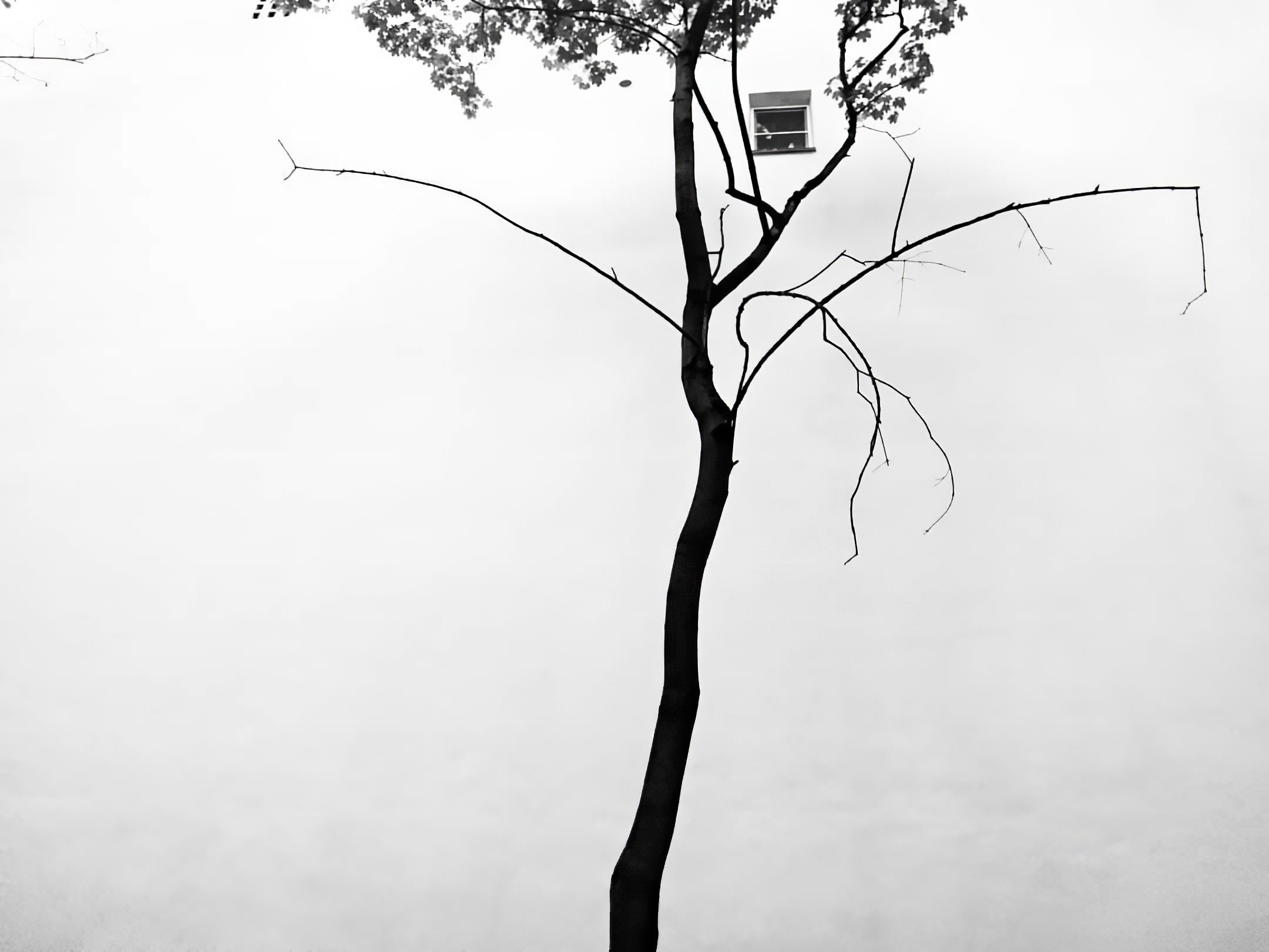 Мобильное. Дмитрий Ратихин. Видеограф и фотограф в Санкт-Петербурге и Москве