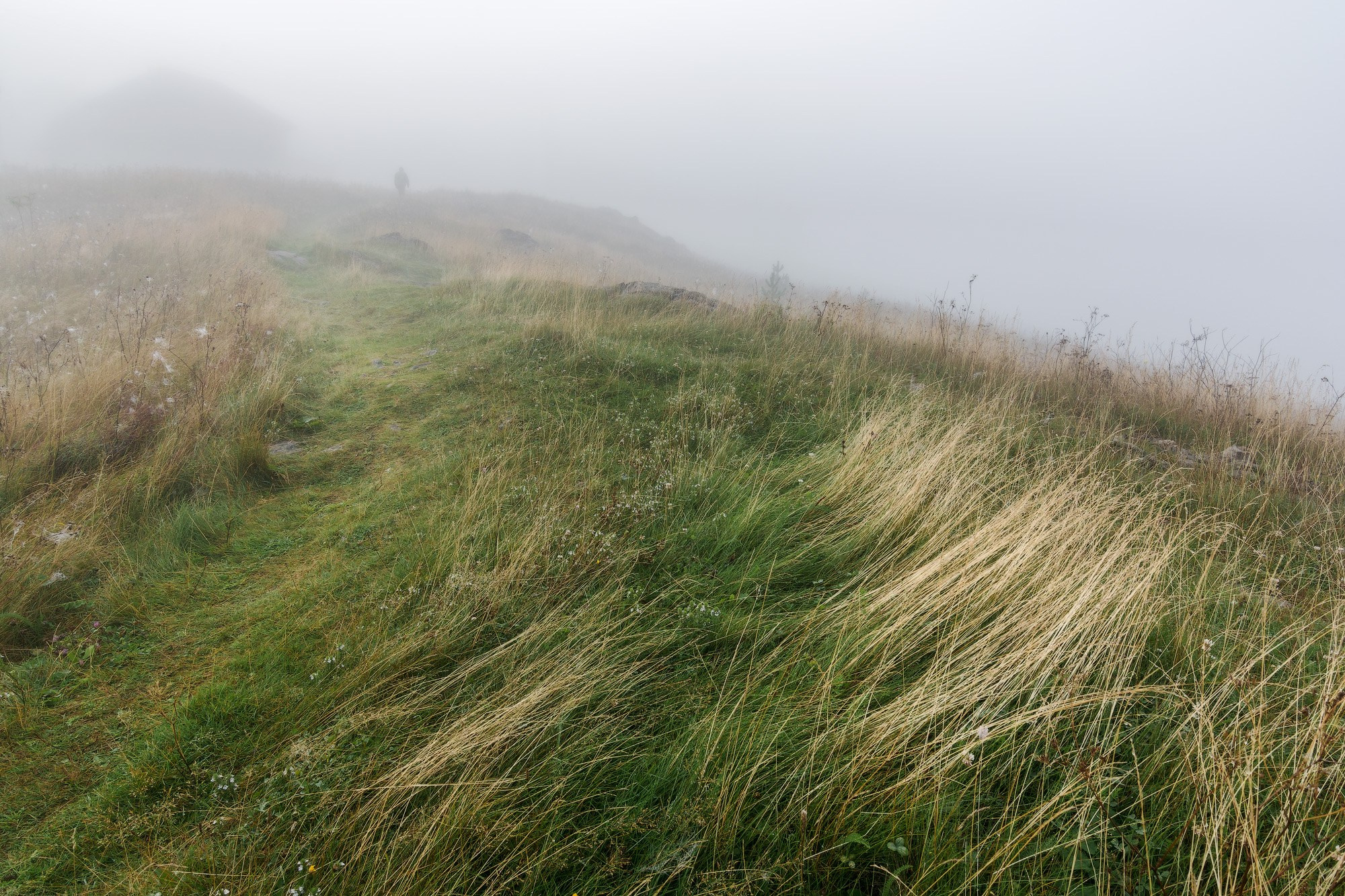 На горе Заводская