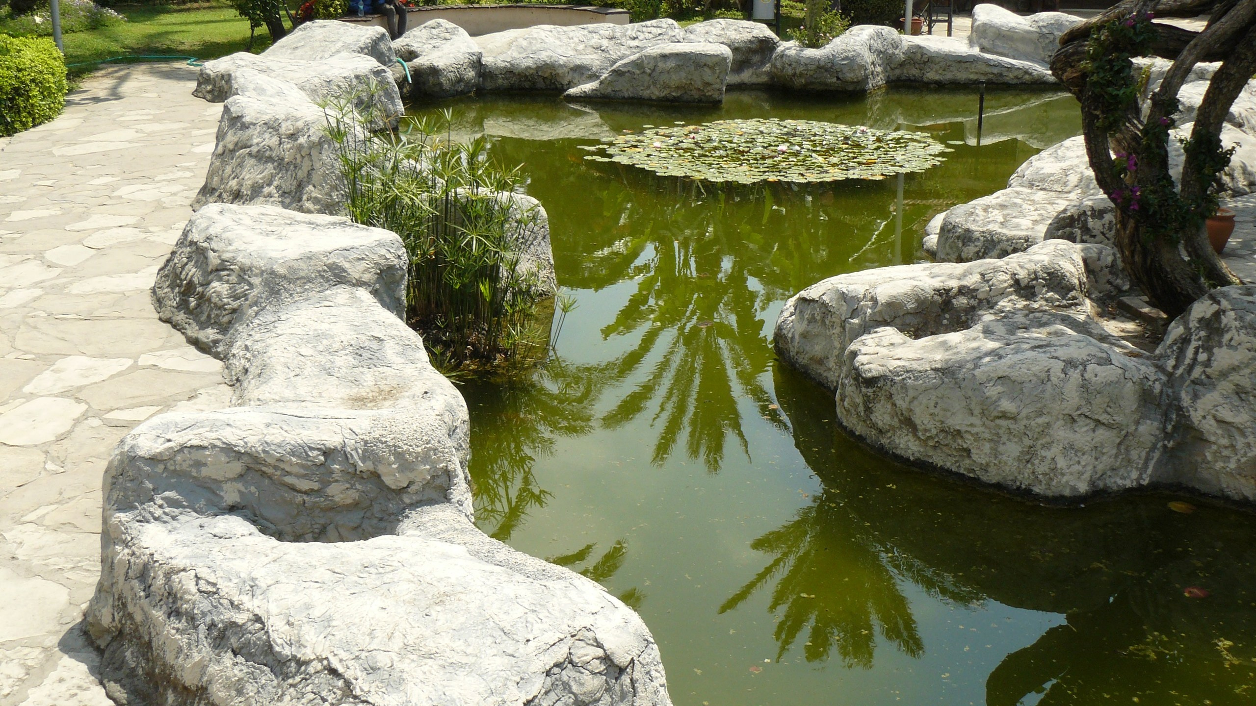 Алания 2015 порт и парк. Фотопрогулки по Миру