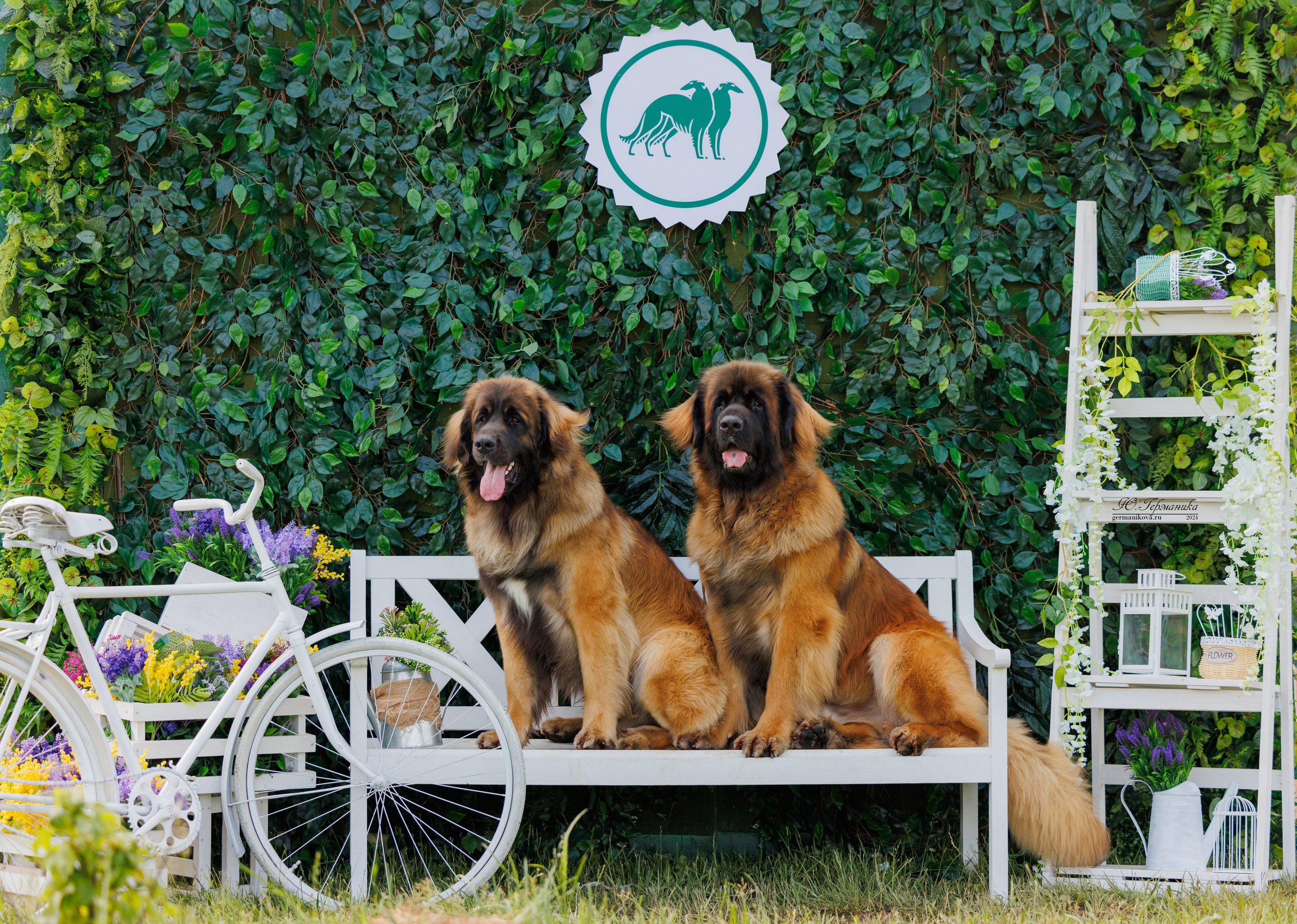 РОССИЯ 8-9.06.2024. Фотограф-анималист Юлия Германика